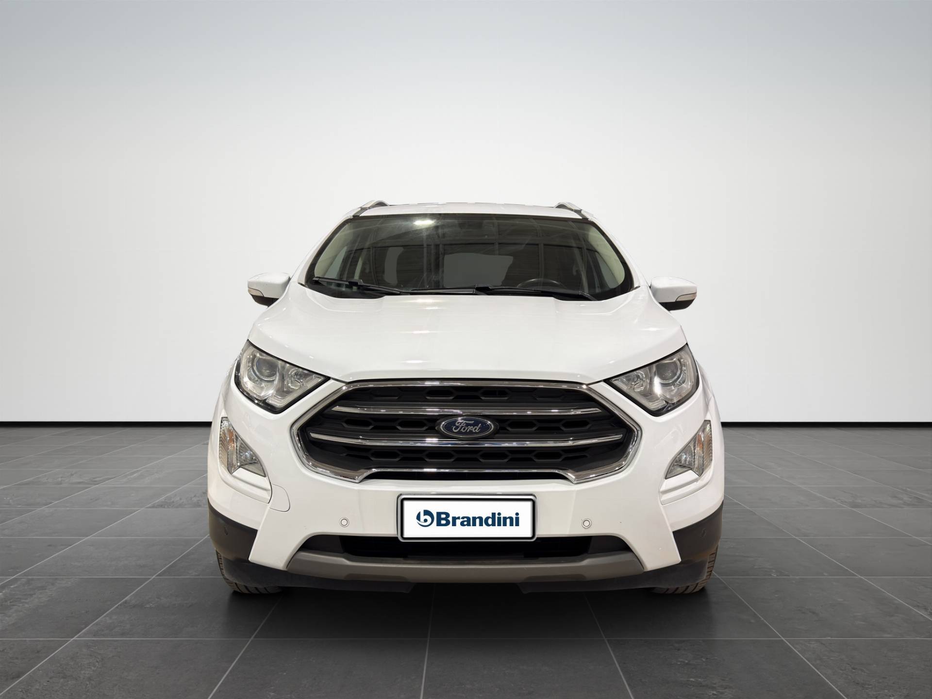 FORD EcoSport EcoSport 1.5 ecoblue Titanium s&s 100cv my19 usata in pronta consegna - Brandini