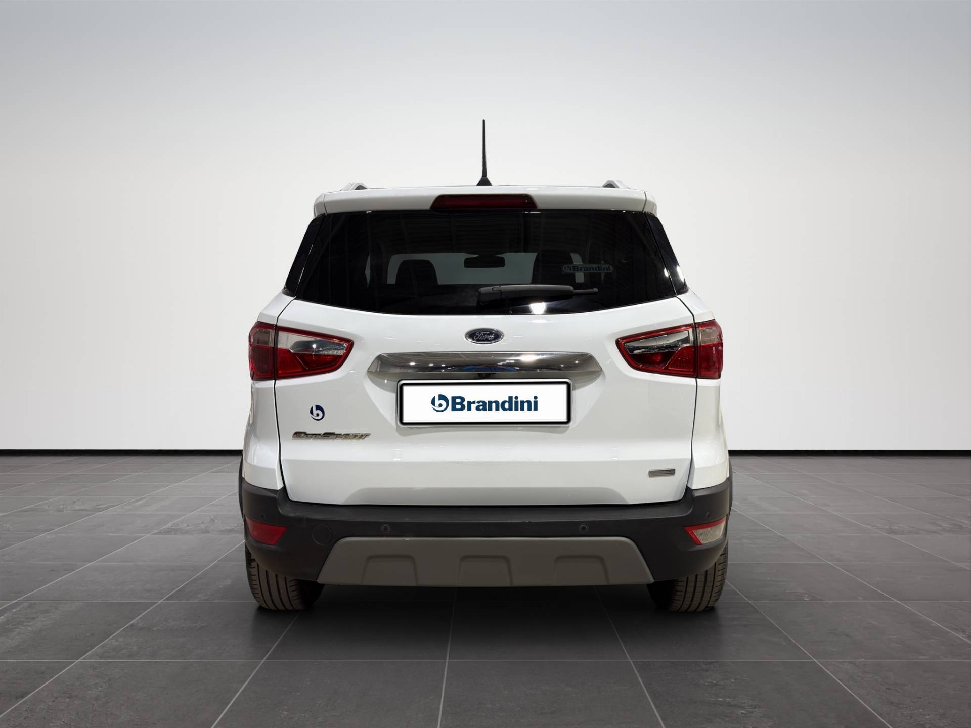 FORD EcoSport EcoSport 1.5 ecoblue Titanium s&s 100cv my19 usata in pronta consegna - Brandini