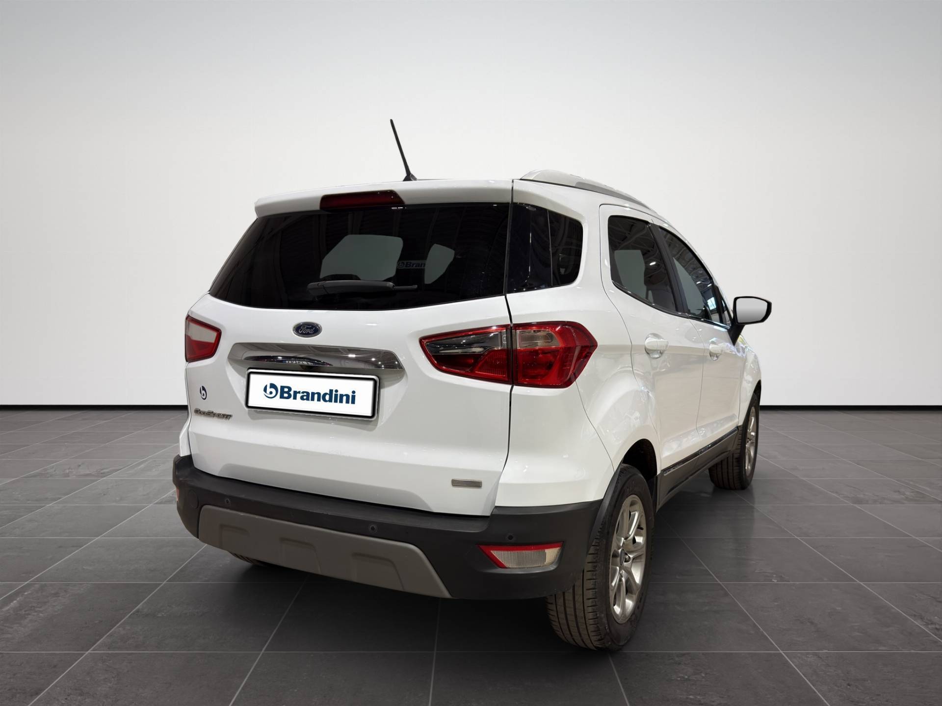 FORD EcoSport EcoSport 1.5 ecoblue Titanium s&s 100cv my19 usata in pronta consegna - Brandini