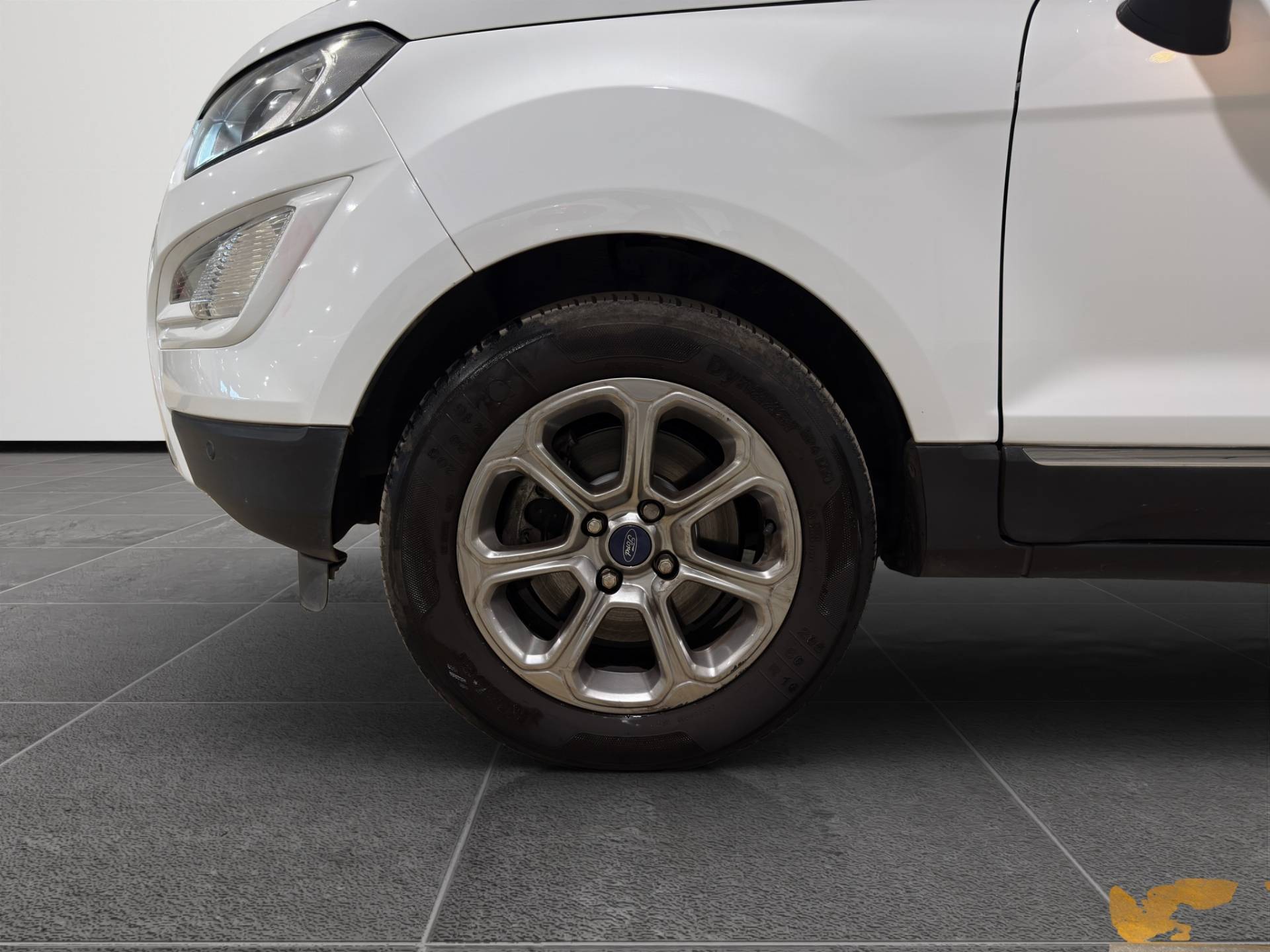 FORD EcoSport EcoSport 1.5 ecoblue Titanium s&s 100cv my19 usata in pronta consegna - Brandini