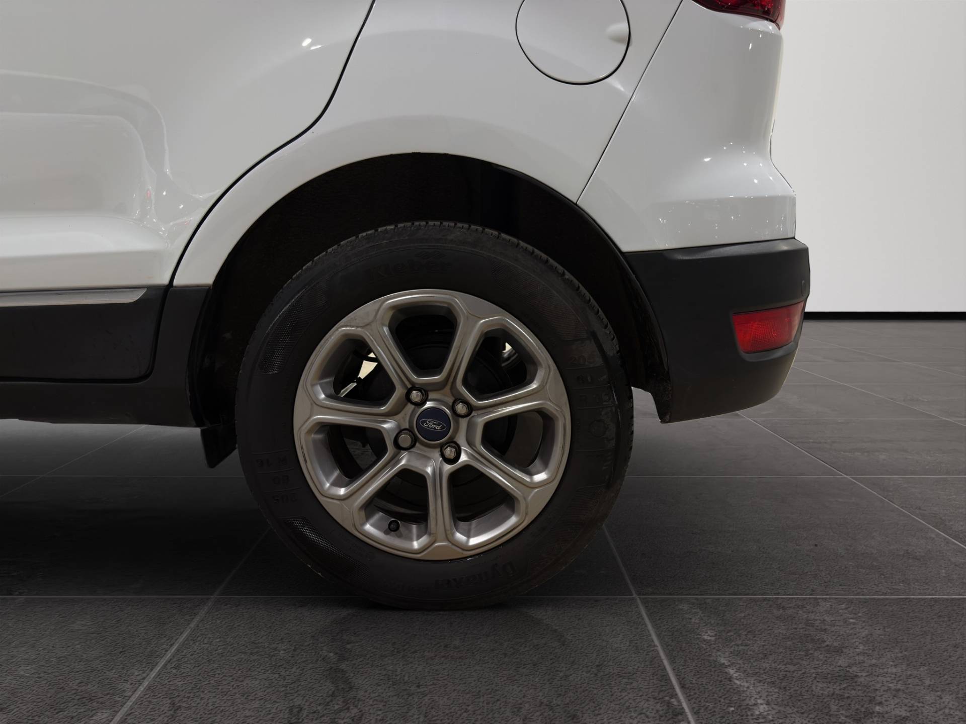 FORD EcoSport EcoSport 1.5 ecoblue Titanium s&s 100cv my19 usata in pronta consegna - Brandini