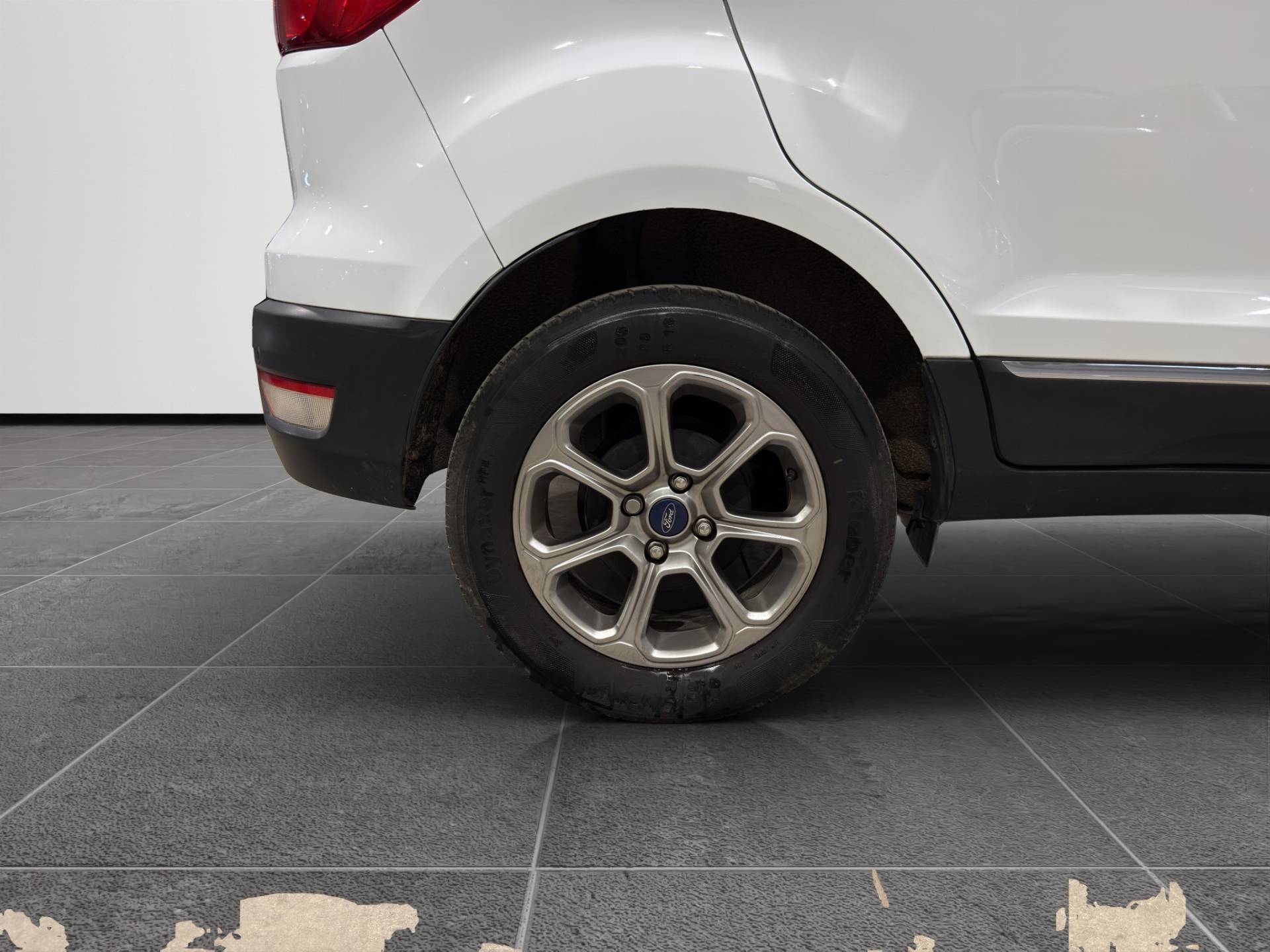FORD EcoSport EcoSport 1.5 ecoblue Titanium s&s 100cv my19 usata in pronta consegna - Brandini
