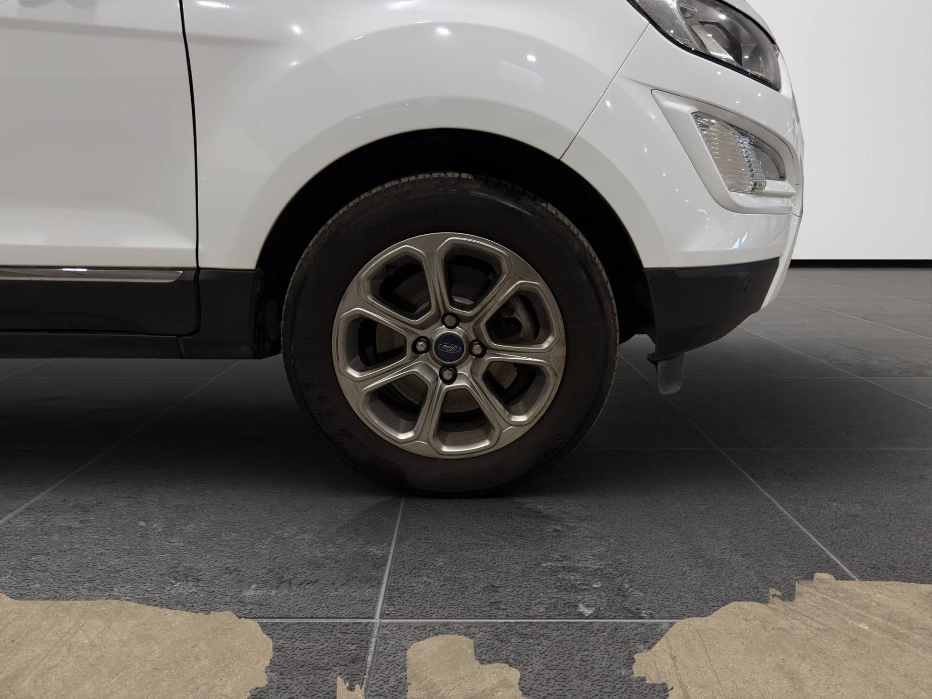 FORD EcoSport EcoSport 1.5 ecoblue Titanium s&s 100cv my19 usata in pronta consegna - Brandini