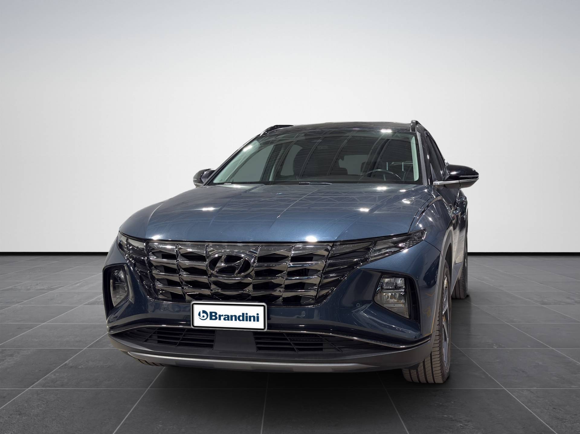 HYUNDAI Tucson Tucson 1.6 hev Exellence Leather Pack 2wd auto usata in pronta consegna - Brandini