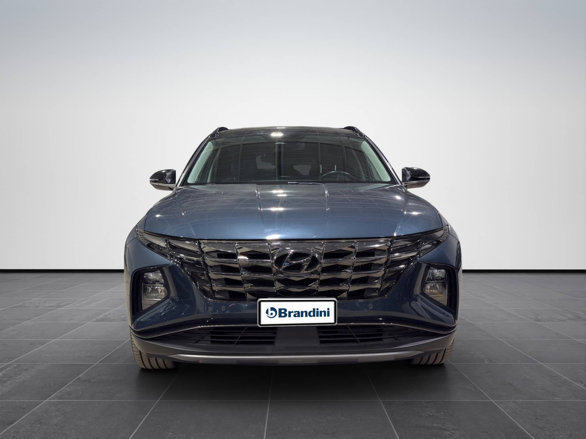 HYUNDAI Tucson Tucson 1.6 hev Exellence Leather Pack 2wd auto usata in pronta consegna - Brandini