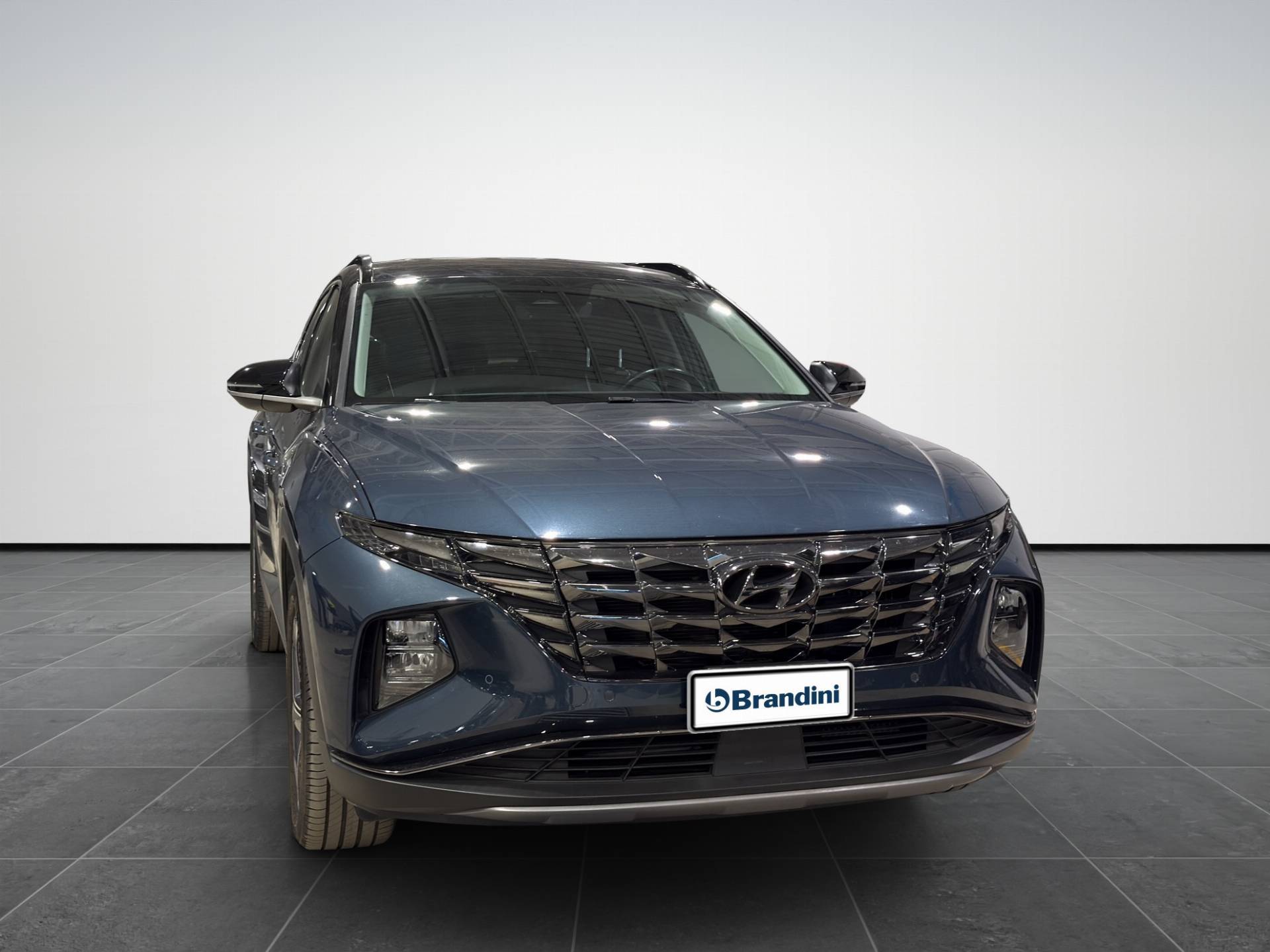 HYUNDAI Tucson Tucson 1.6 hev Exellence Leather Pack 2wd auto usata in pronta consegna - Brandini