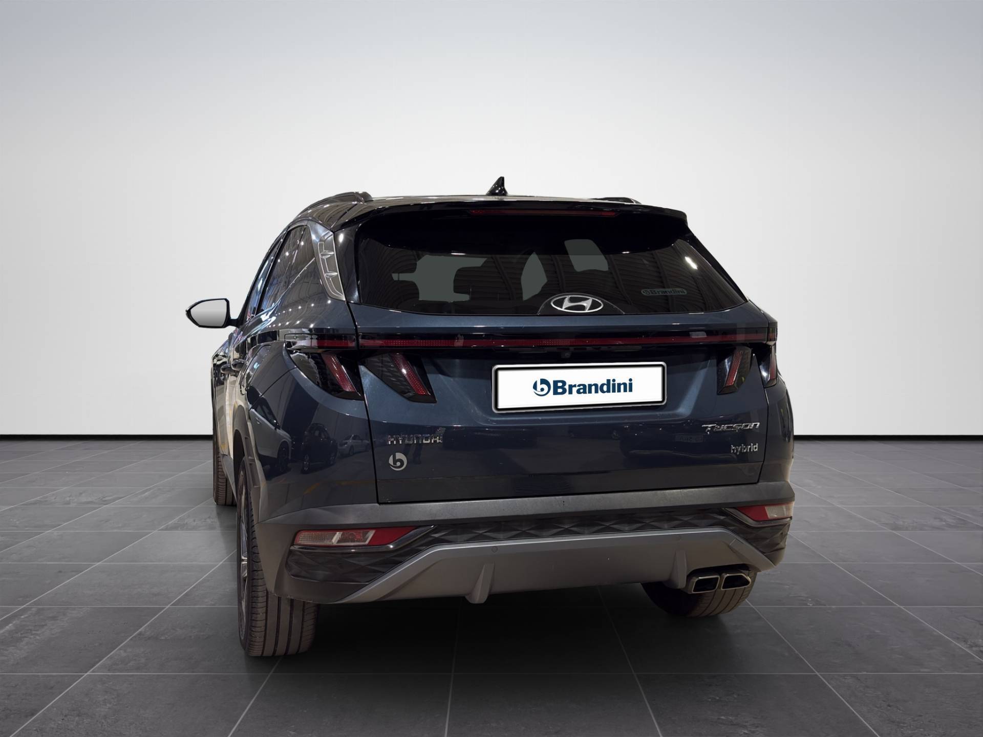 HYUNDAI Tucson Tucson 1.6 hev Exellence Leather Pack 2wd auto usata in pronta consegna - Brandini
