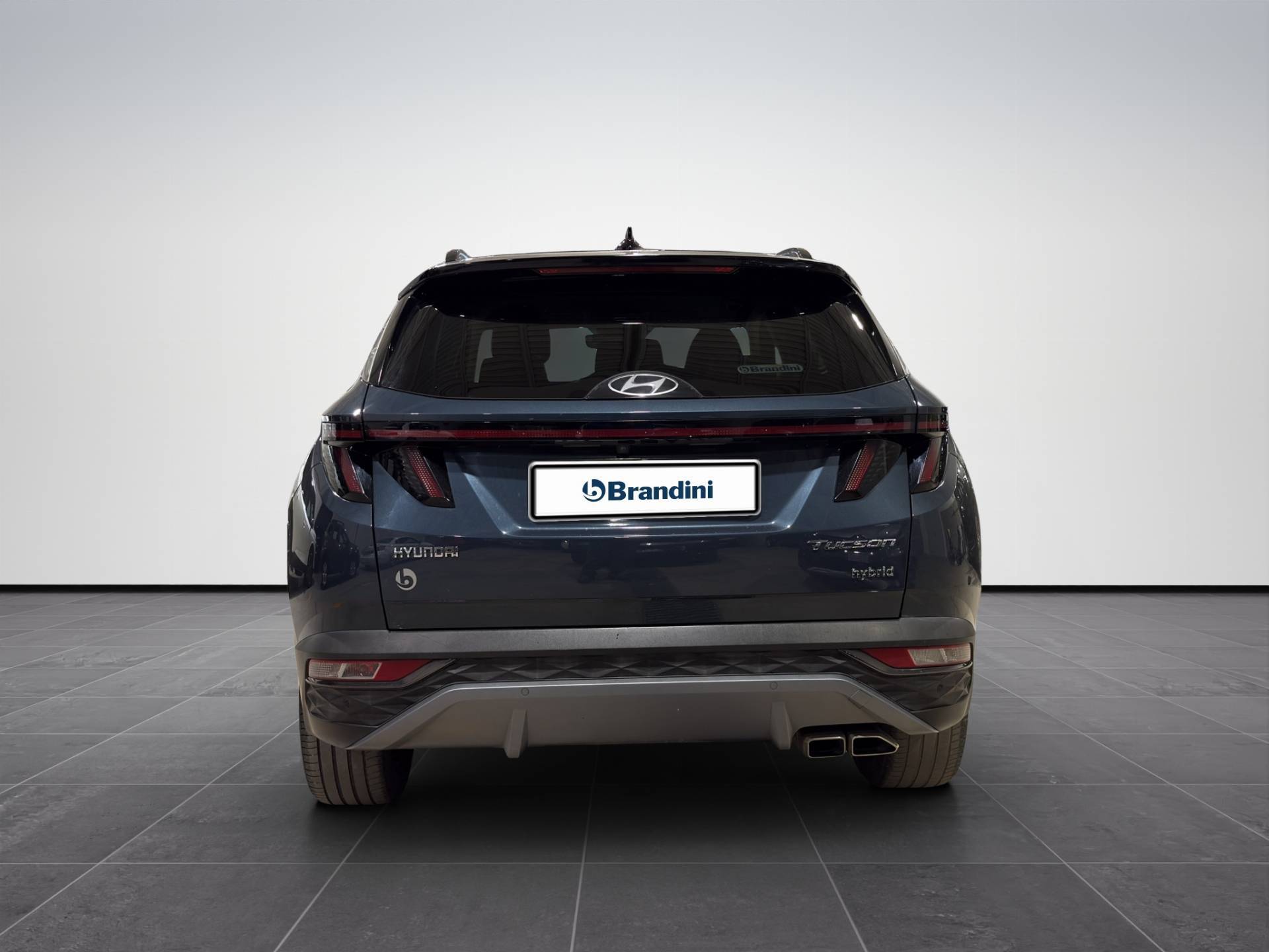 HYUNDAI Tucson Tucson 1.6 hev Exellence Leather Pack 2wd auto usata in pronta consegna - Brandini