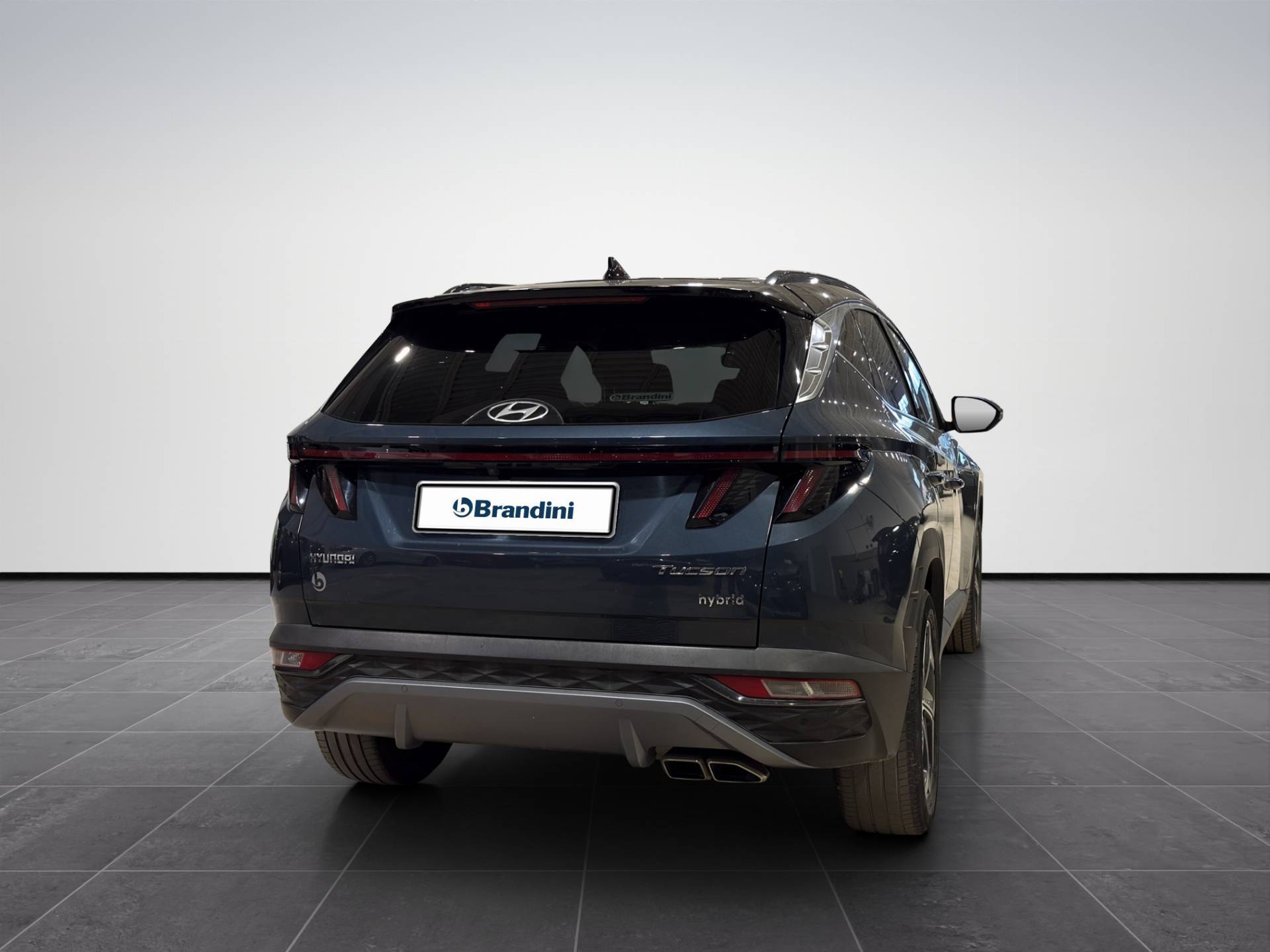 HYUNDAI Tucson Tucson 1.6 hev Exellence Leather Pack 2wd auto usata in pronta consegna - Brandini