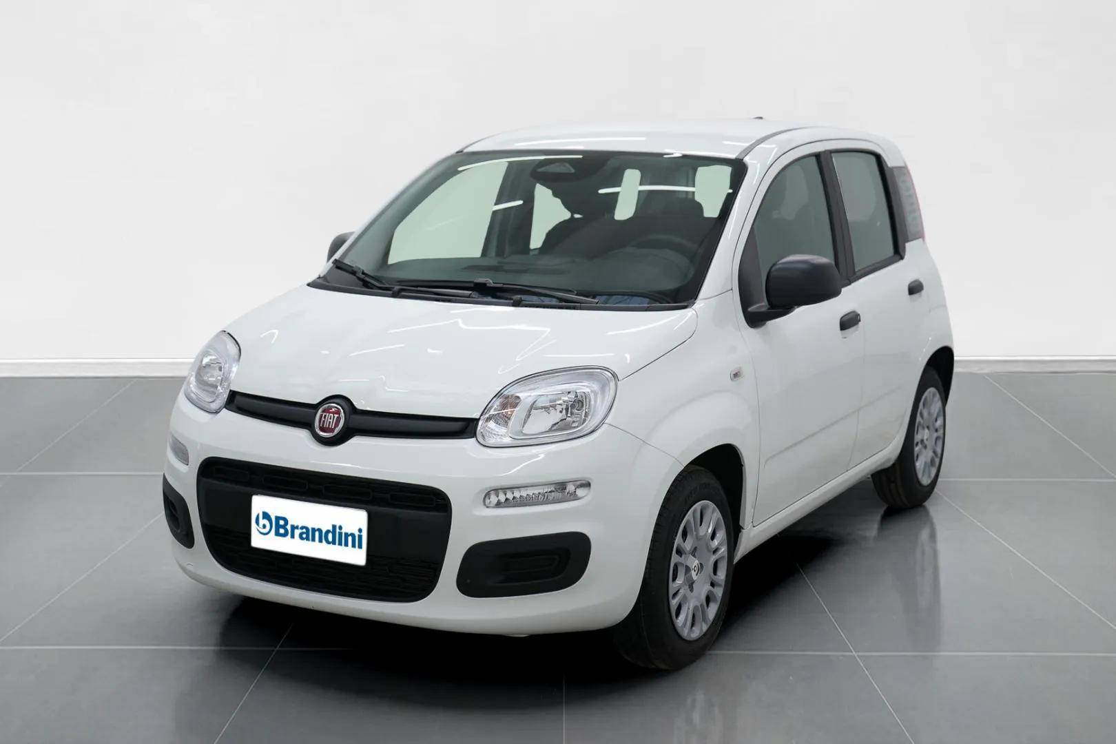 FIAT Panda Pandina 1.0 firefly hybrid Icon s&s 65cv 5p.ti usata in pronta consegna - Brandini