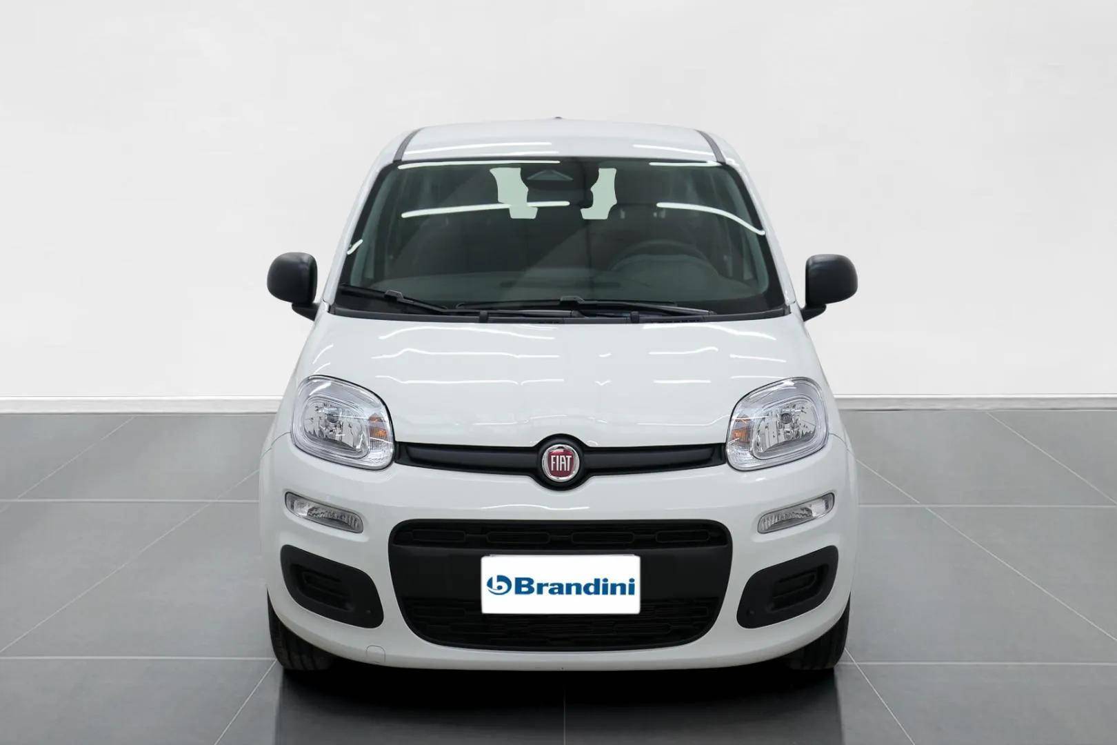 FIAT Panda Pandina 1.0 firefly hybrid Icon s&s 65cv 5p.ti usata in pronta consegna - Brandini
