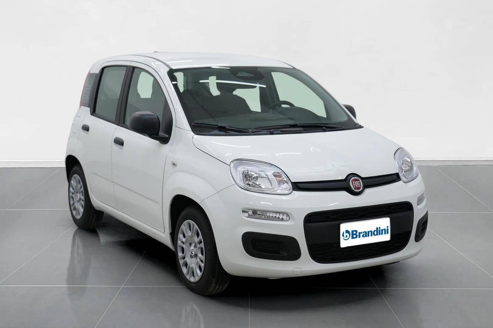 FIAT Panda Pandina 1.0 firefly hybrid Icon s&s 65cv 5p.ti usata in pronta consegna - Brandini