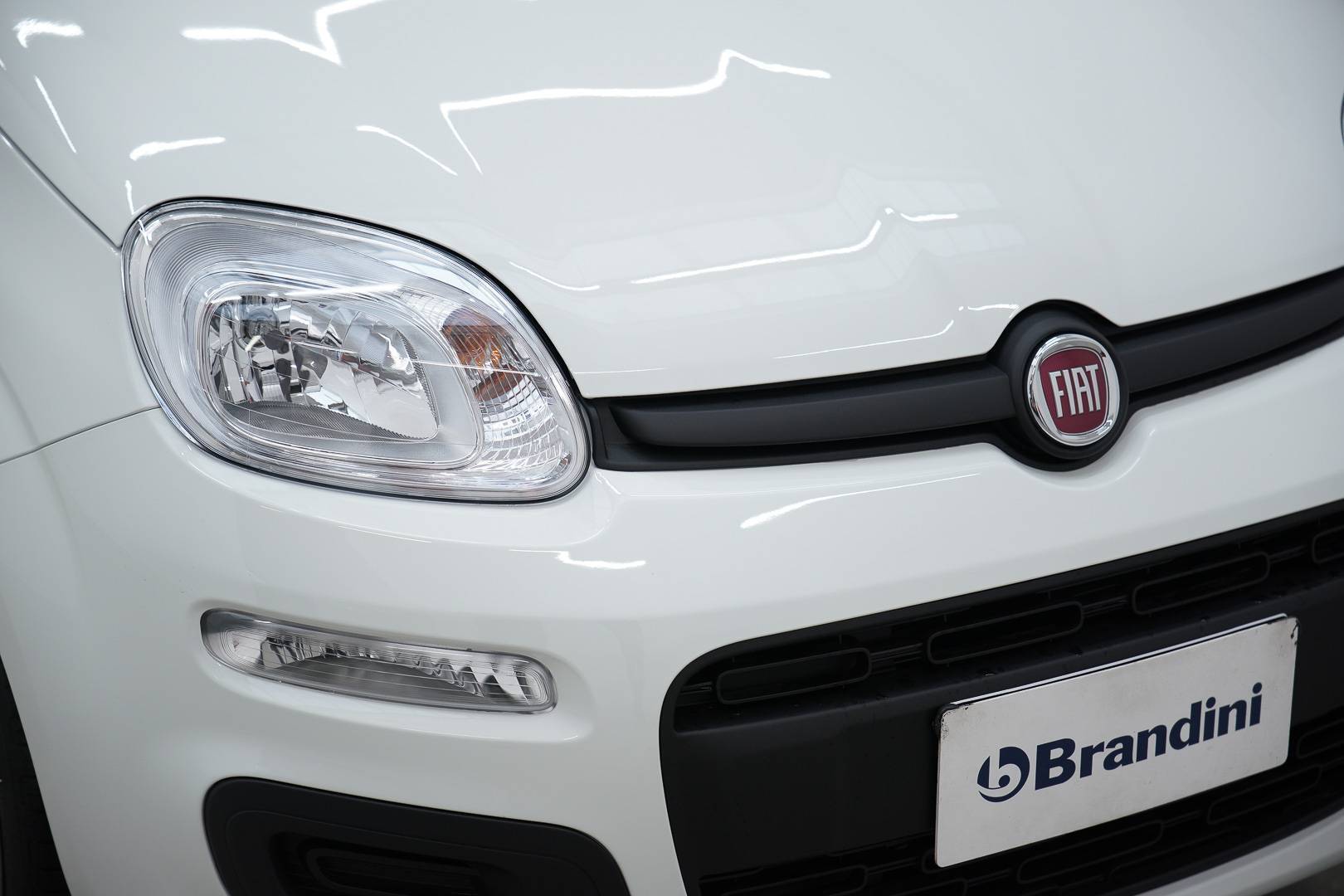 FIAT Panda Pandina 1.0 firefly hybrid Icon s&s 65cv 5p.ti usata in pronta consegna - Brandini
