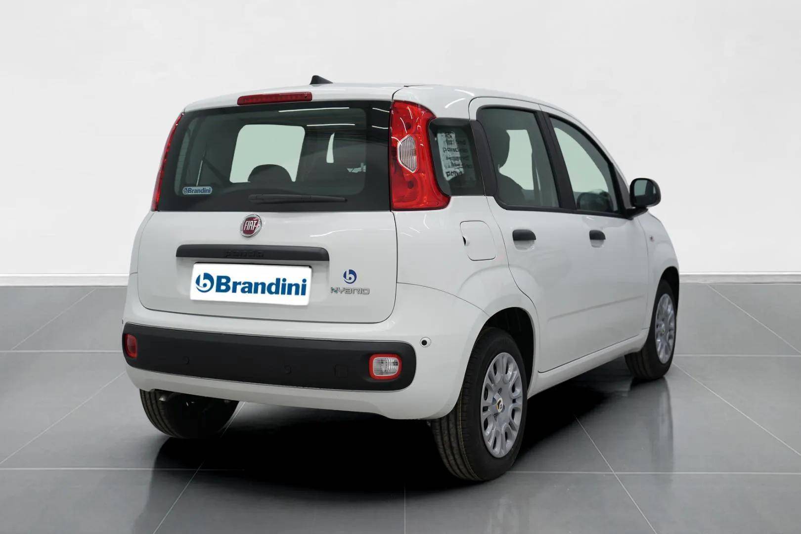 FIAT Panda Pandina 1.0 firefly hybrid Icon s&s 65cv 5p.ti usata in pronta consegna - Brandini