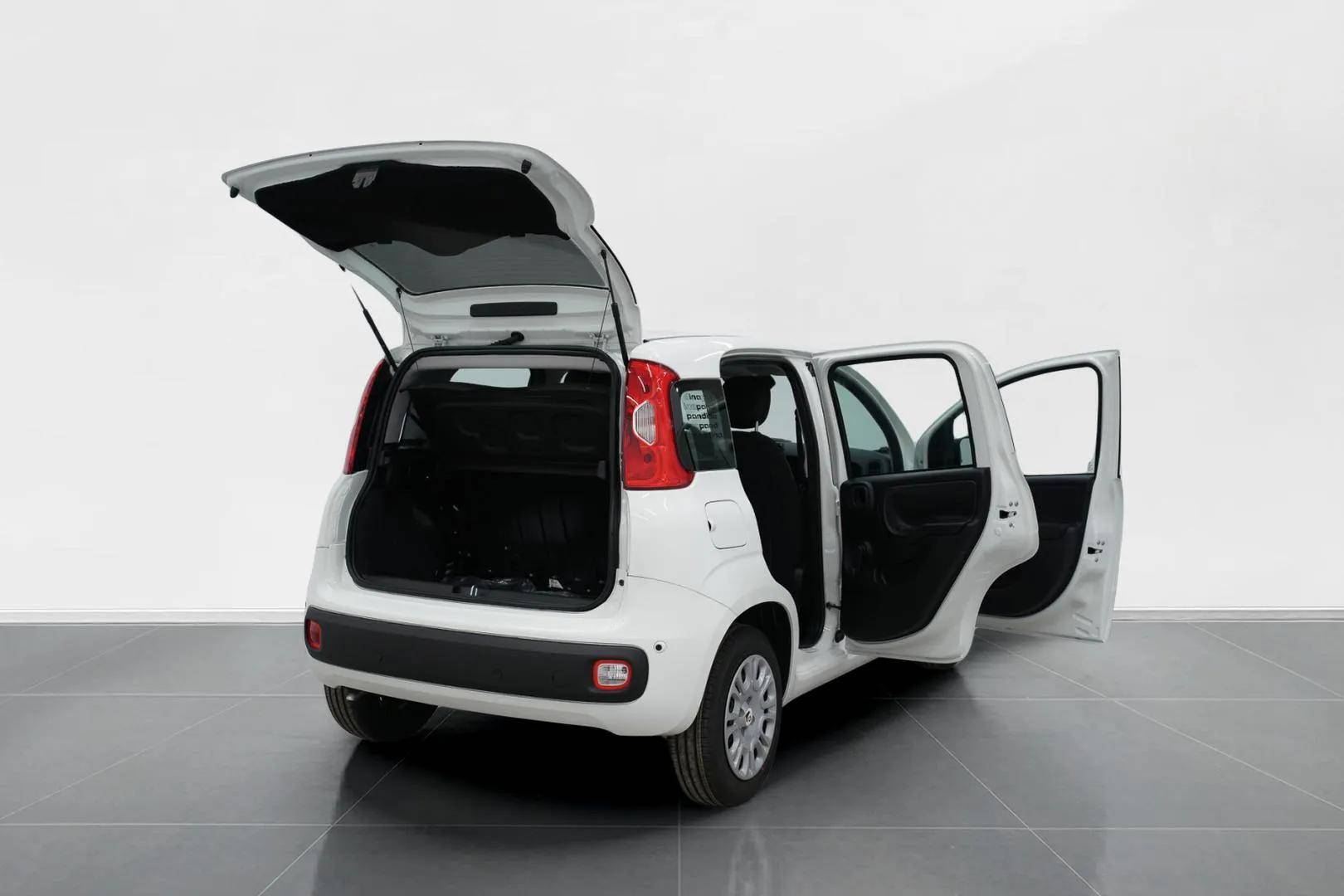 FIAT Panda Pandina 1.0 firefly hybrid Icon s&s 65cv 5p.ti usata in pronta consegna - Brandini