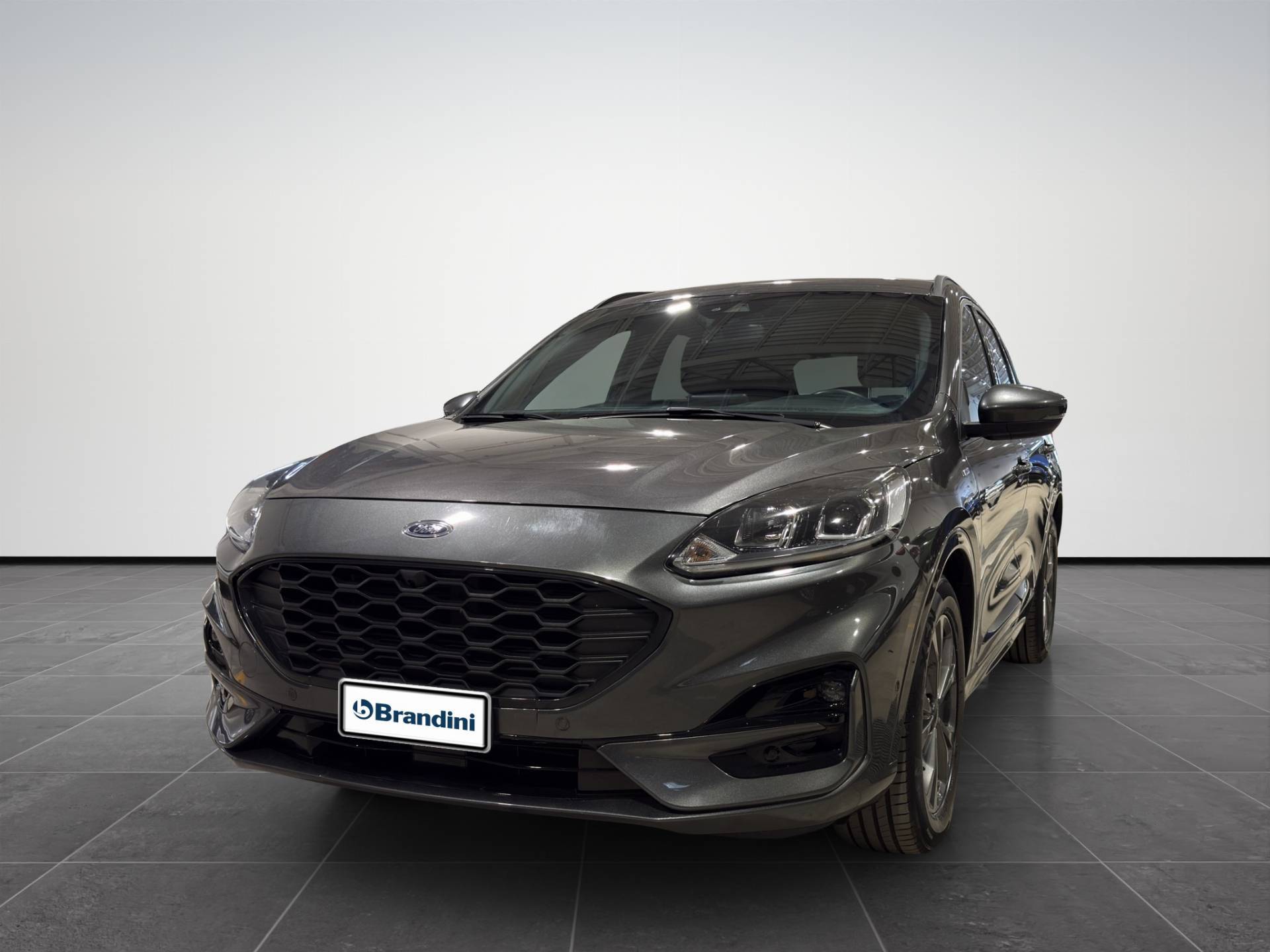 FORD Kuga Kuga 1.5 ecoblue ST-Line 2wd 120cv usata in pronta consegna - Brandini