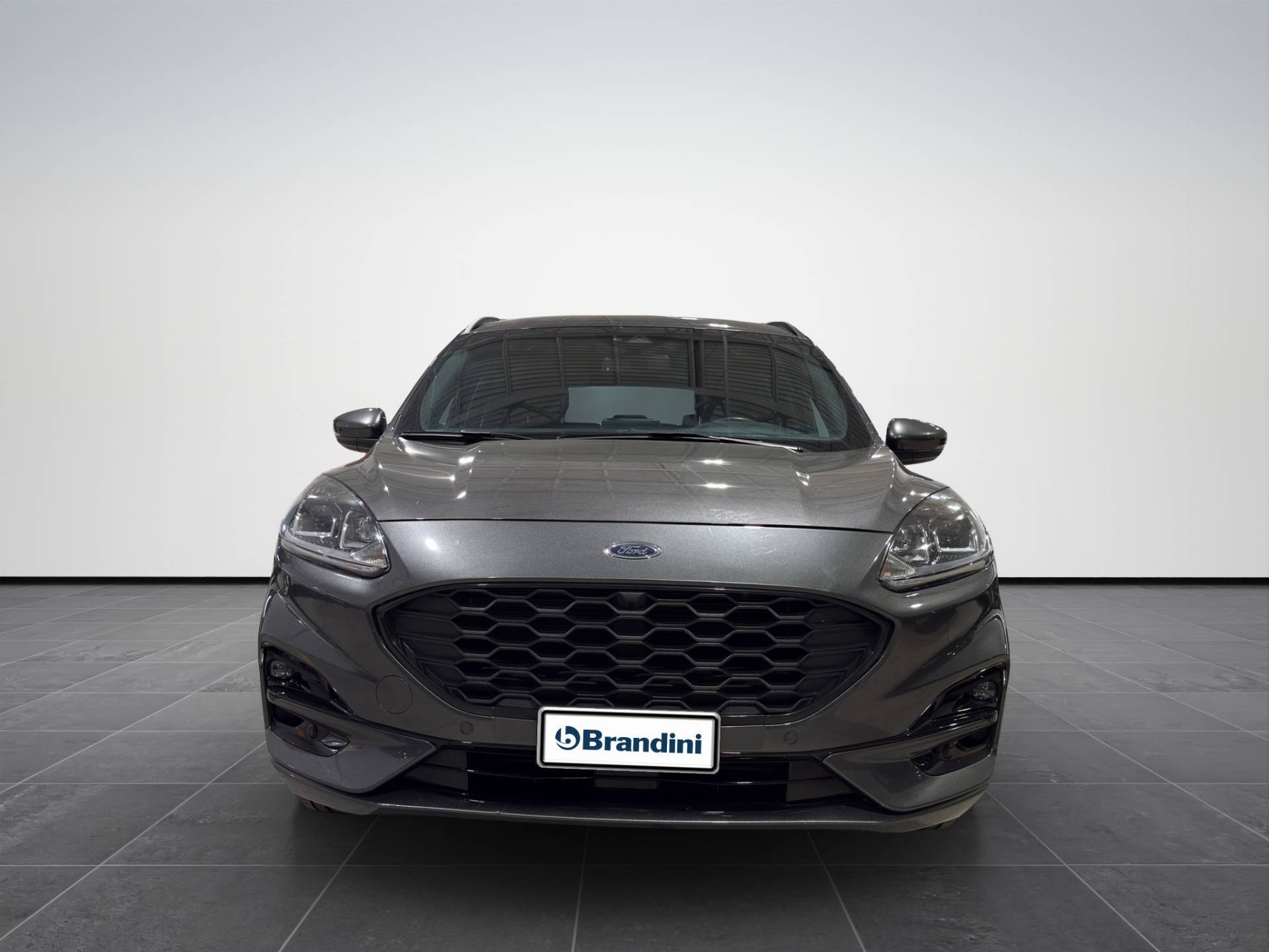 FORD Kuga Kuga 1.5 ecoblue ST-Line 2wd 120cv usata in pronta consegna - Brandini
