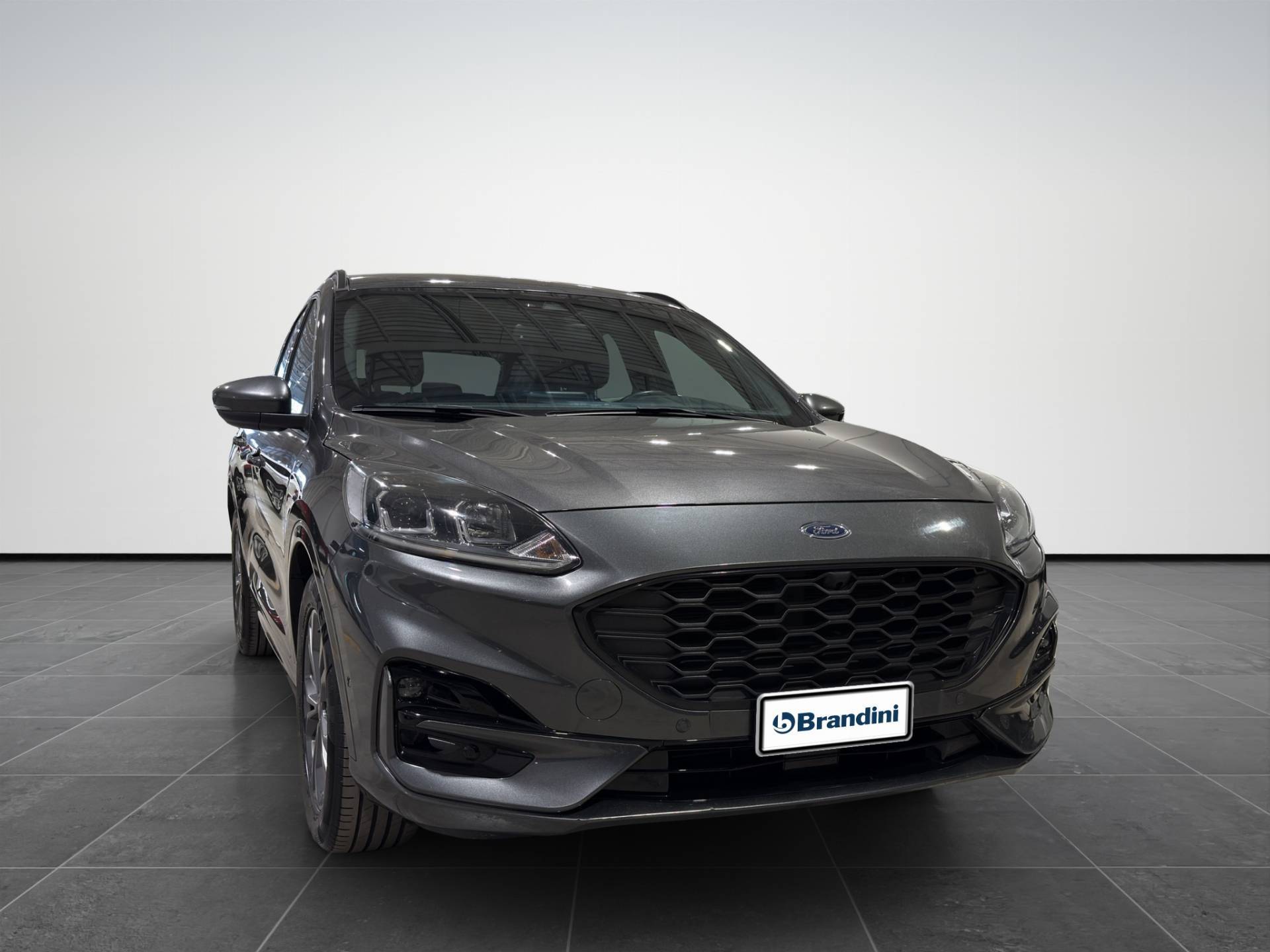FORD Kuga Kuga 1.5 ecoblue ST-Line 2wd 120cv usata in pronta consegna - Brandini