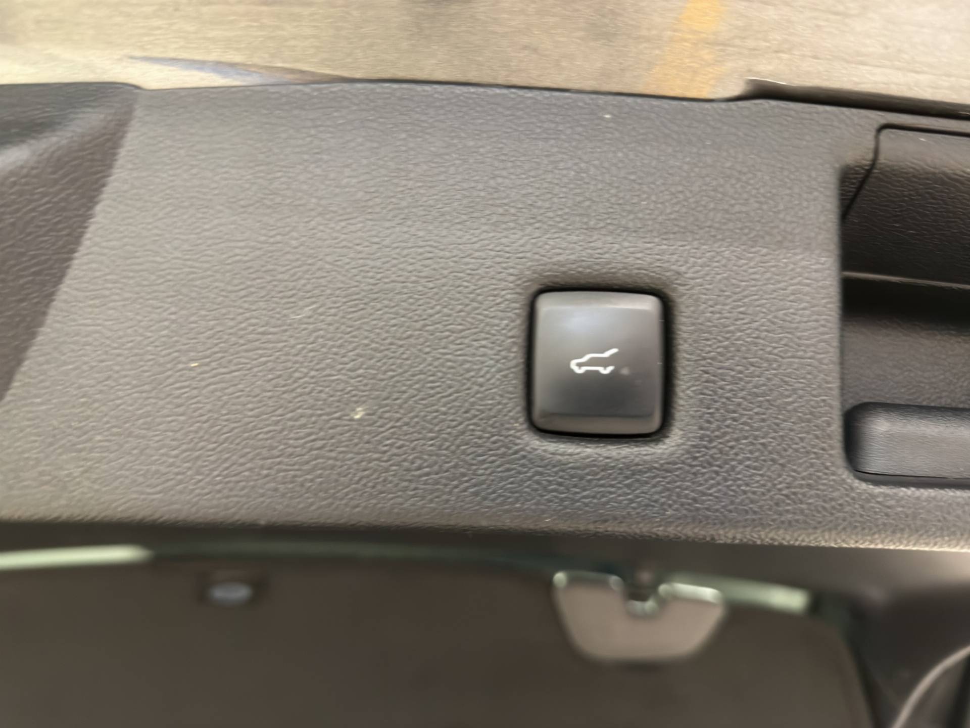 FORD Kuga Kuga 1.5 ecoblue ST-Line 2wd 120cv usata in pronta consegna - Brandini