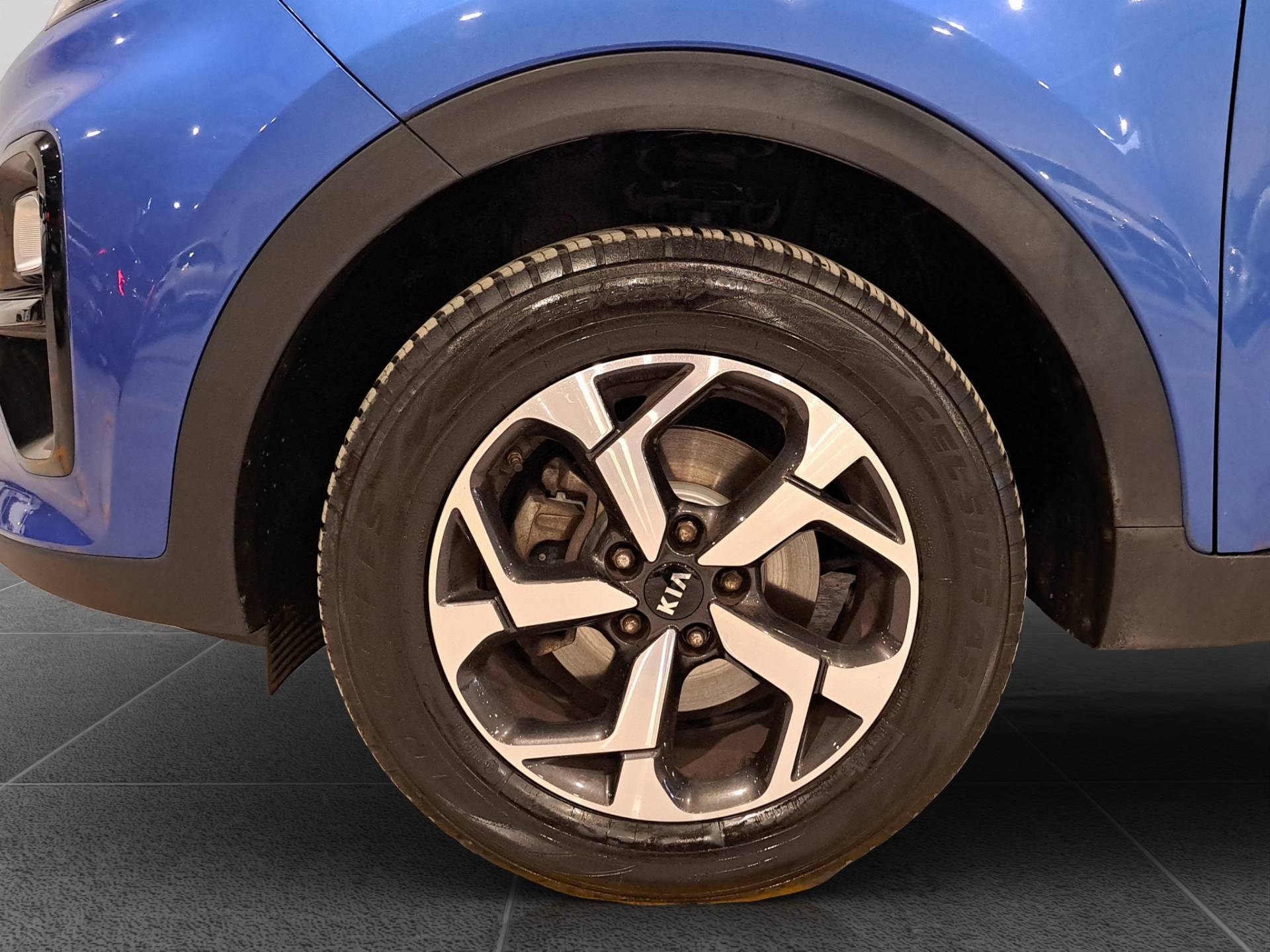 KIA Sportage Sportage 1.6 gdi Business Class Adas Pack 2wd 132cv usata in pronta consegna - Brandini