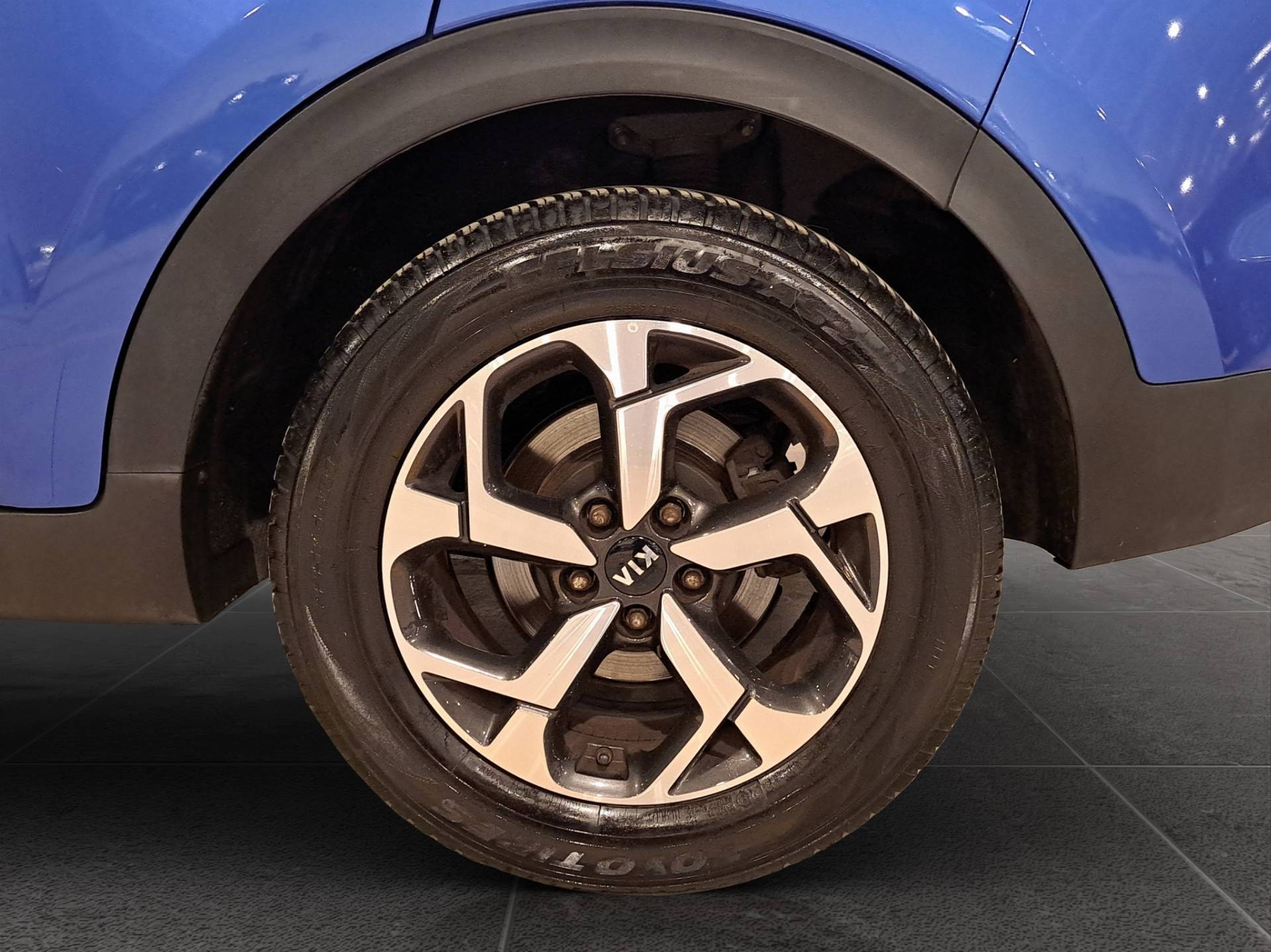 KIA Sportage Sportage 1.6 gdi Business Class Adas Pack 2wd 132cv usata in pronta consegna - Brandini