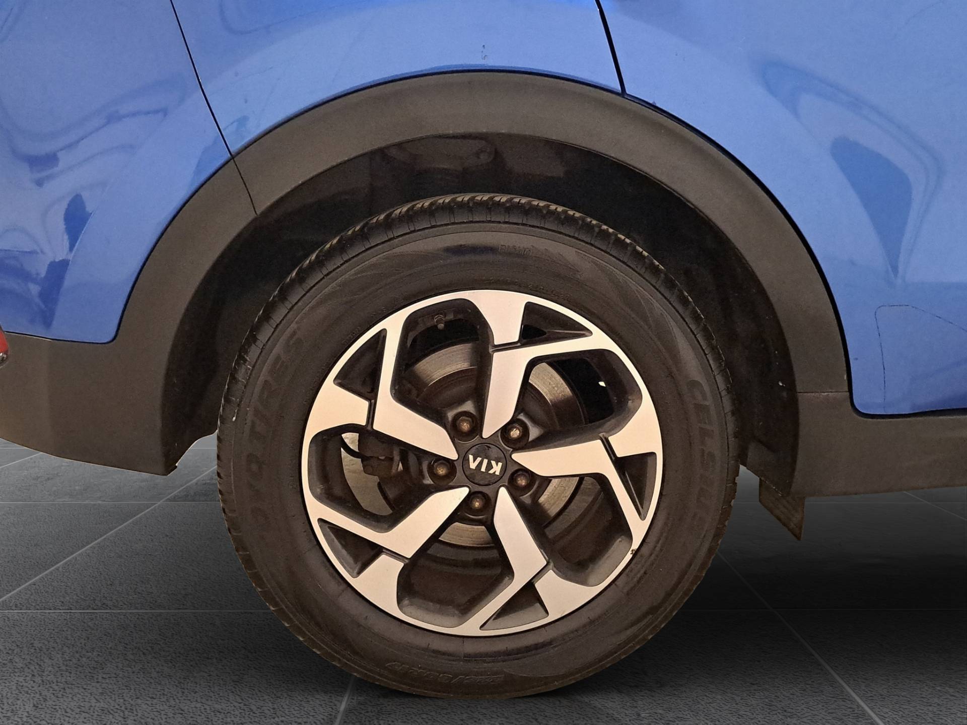 KIA Sportage Sportage 1.6 gdi Business Class Adas Pack 2wd 132cv usata in pronta consegna - Brandini