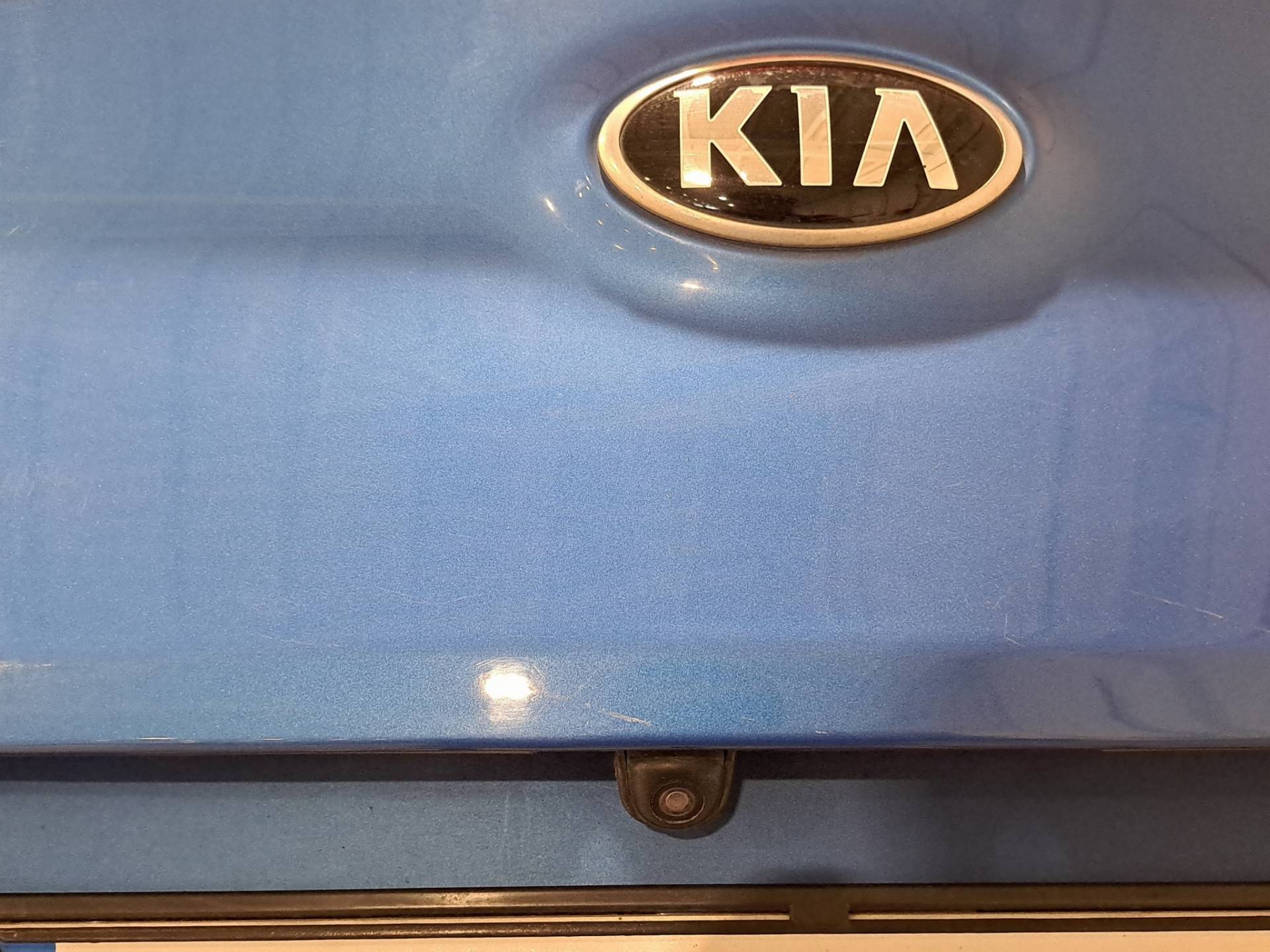 KIA Sportage Sportage 1.6 gdi Business Class Adas Pack 2wd 132cv usata in pronta consegna - Brandini