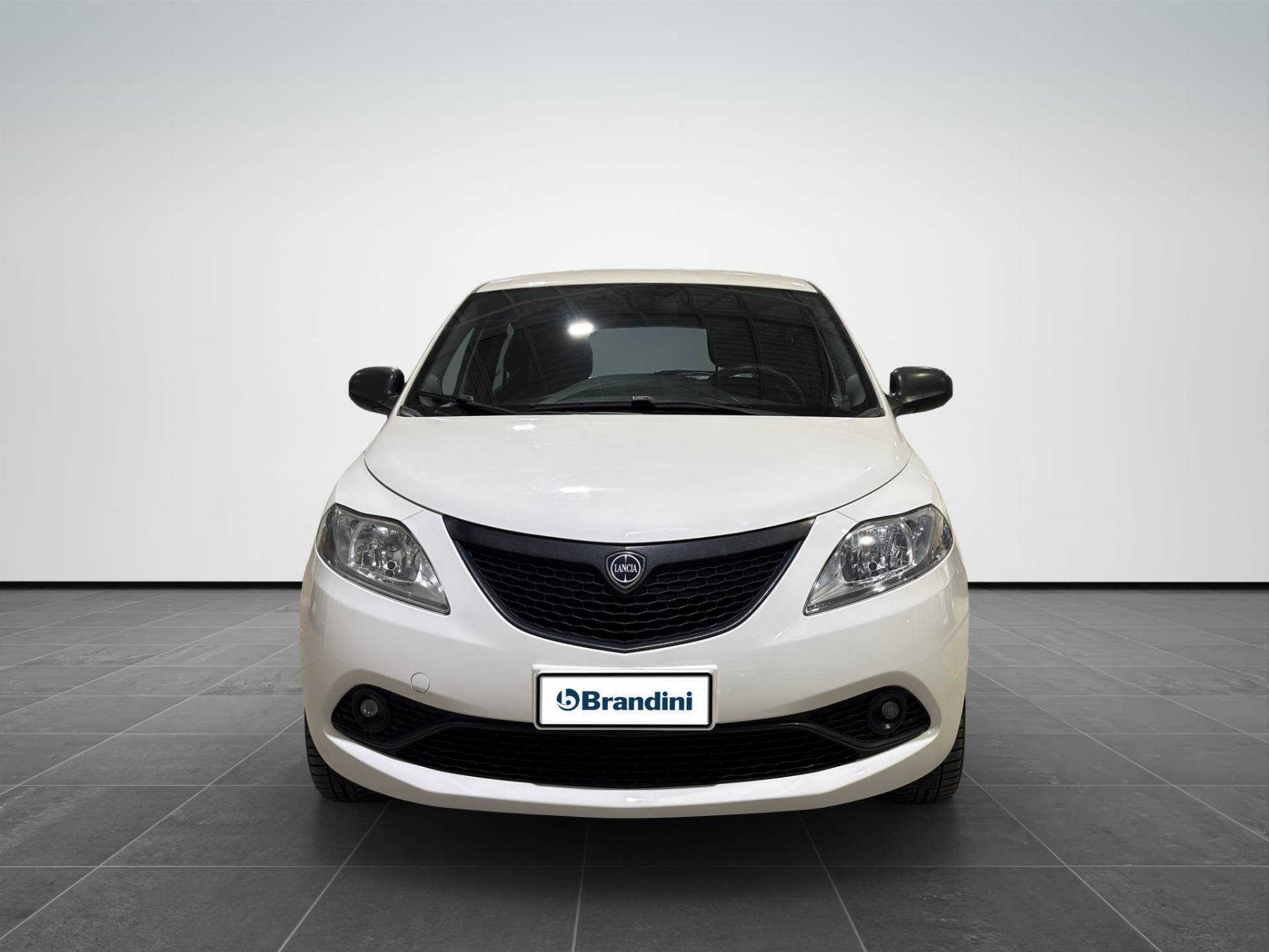 Auto Venduta - LANCIA Ypsilon Ypsilon 1.2 Elefantino Blu s&s 69cv my19 usata in pronta consegna - Brandini