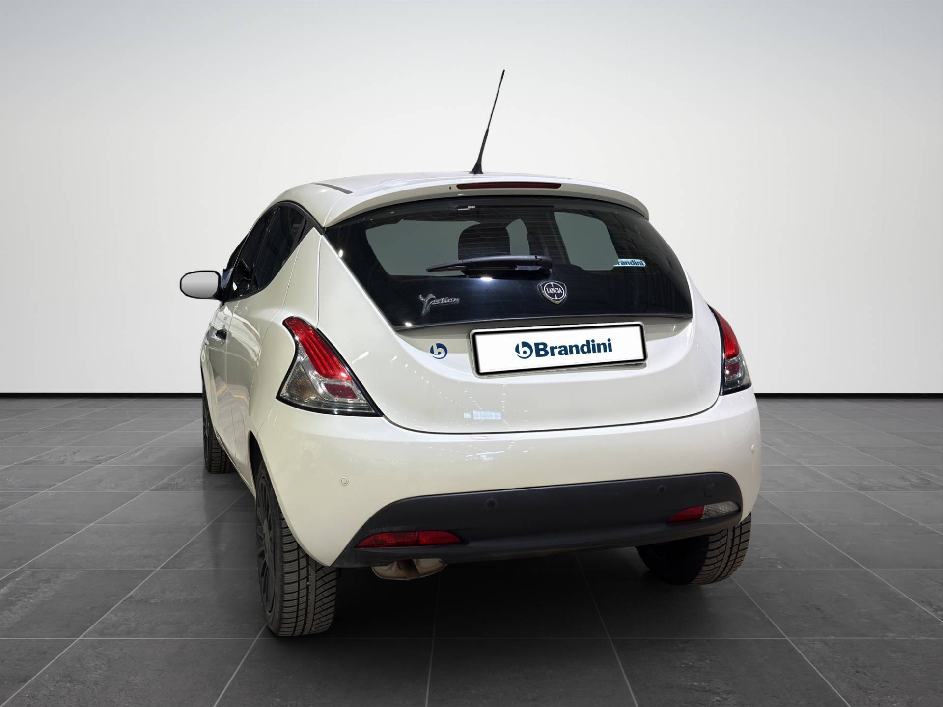 Auto Venduta - LANCIA Ypsilon Ypsilon 1.2 Elefantino Blu s&s 69cv my19 usata in pronta consegna - Brandini