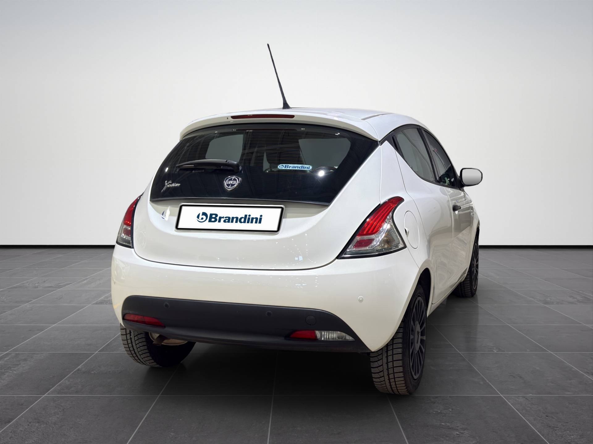 Auto Venduta - LANCIA Ypsilon Ypsilon 1.2 Elefantino Blu s&s 69cv my19 usata in pronta consegna - Brandini