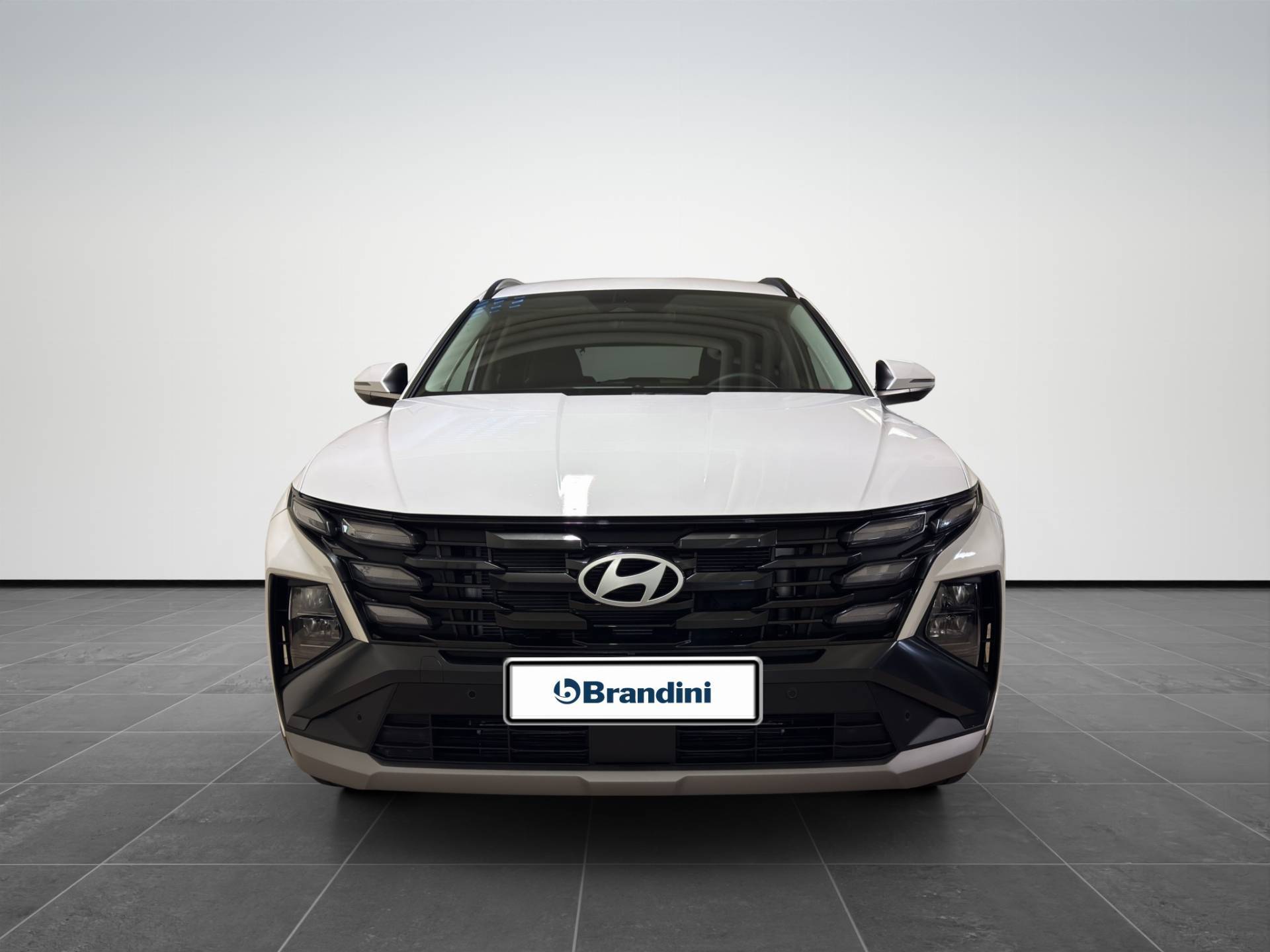 HYUNDAI Tucson Tucson 1.6 hev Business 2wd 239cv auto usata in pronta consegna - Brandini