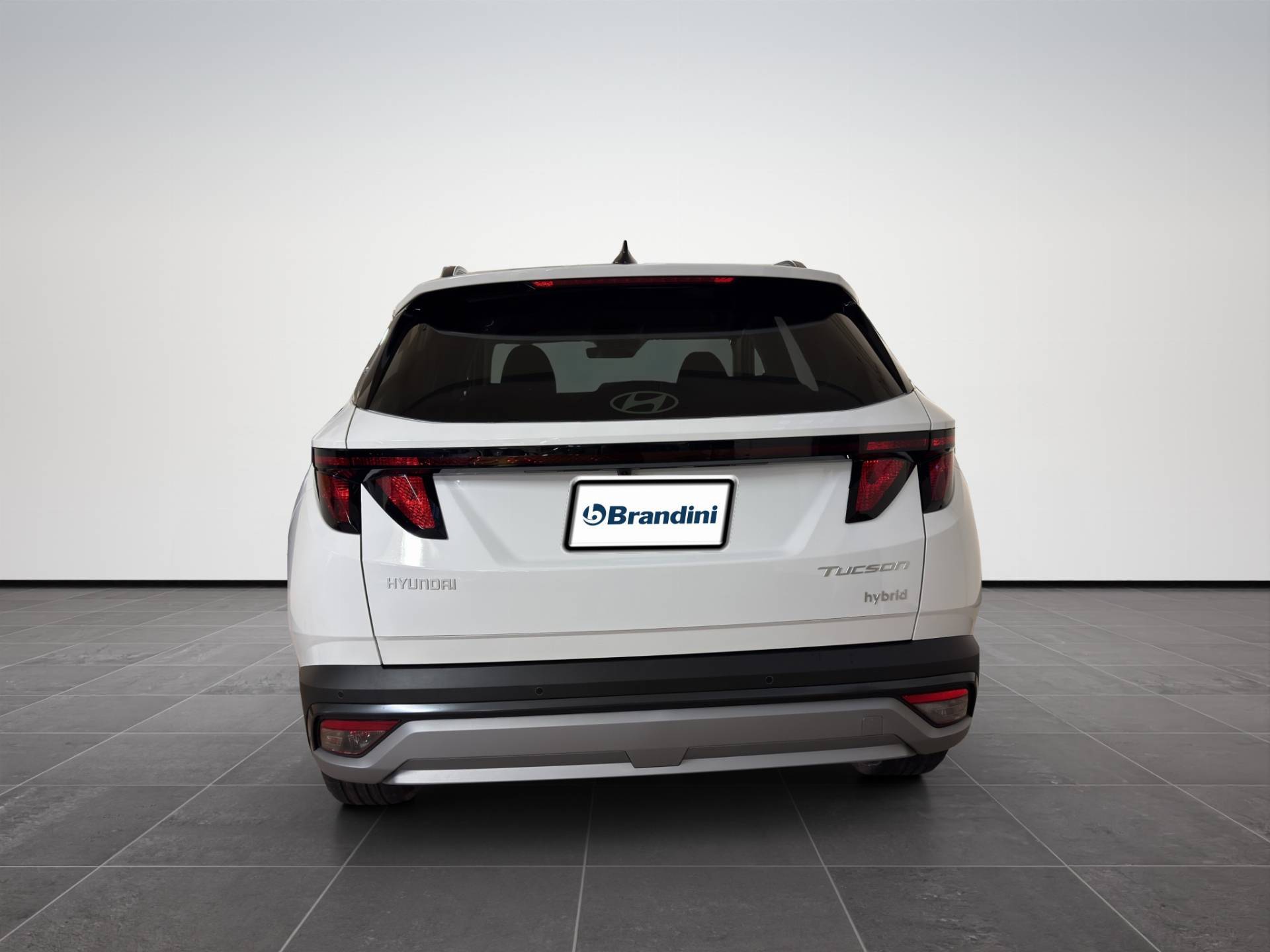HYUNDAI Tucson Tucson 1.6 hev Business 2wd 239cv auto usata in pronta consegna - Brandini