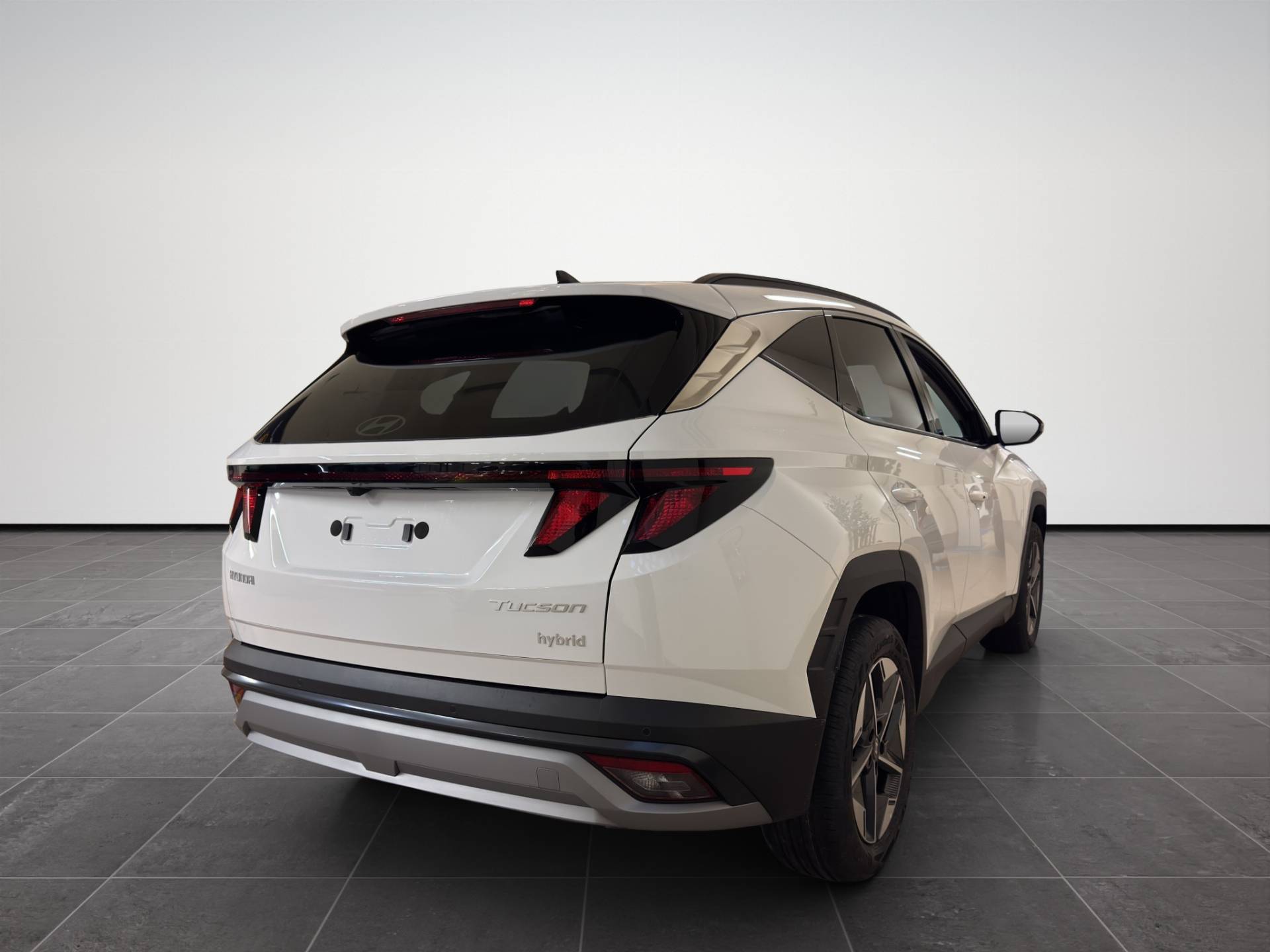 HYUNDAI Tucson Tucson 1.6 hev Business 2wd 239cv auto usata in pronta consegna - Brandini