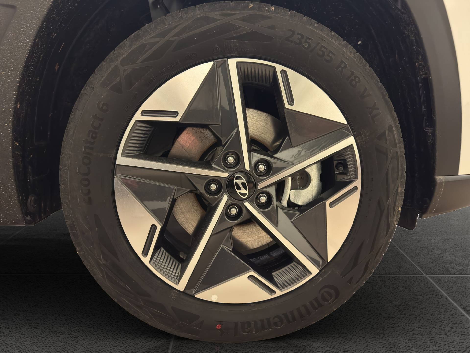 HYUNDAI Tucson Tucson 1.6 hev Business 2wd 239cv auto usata in pronta consegna - Brandini