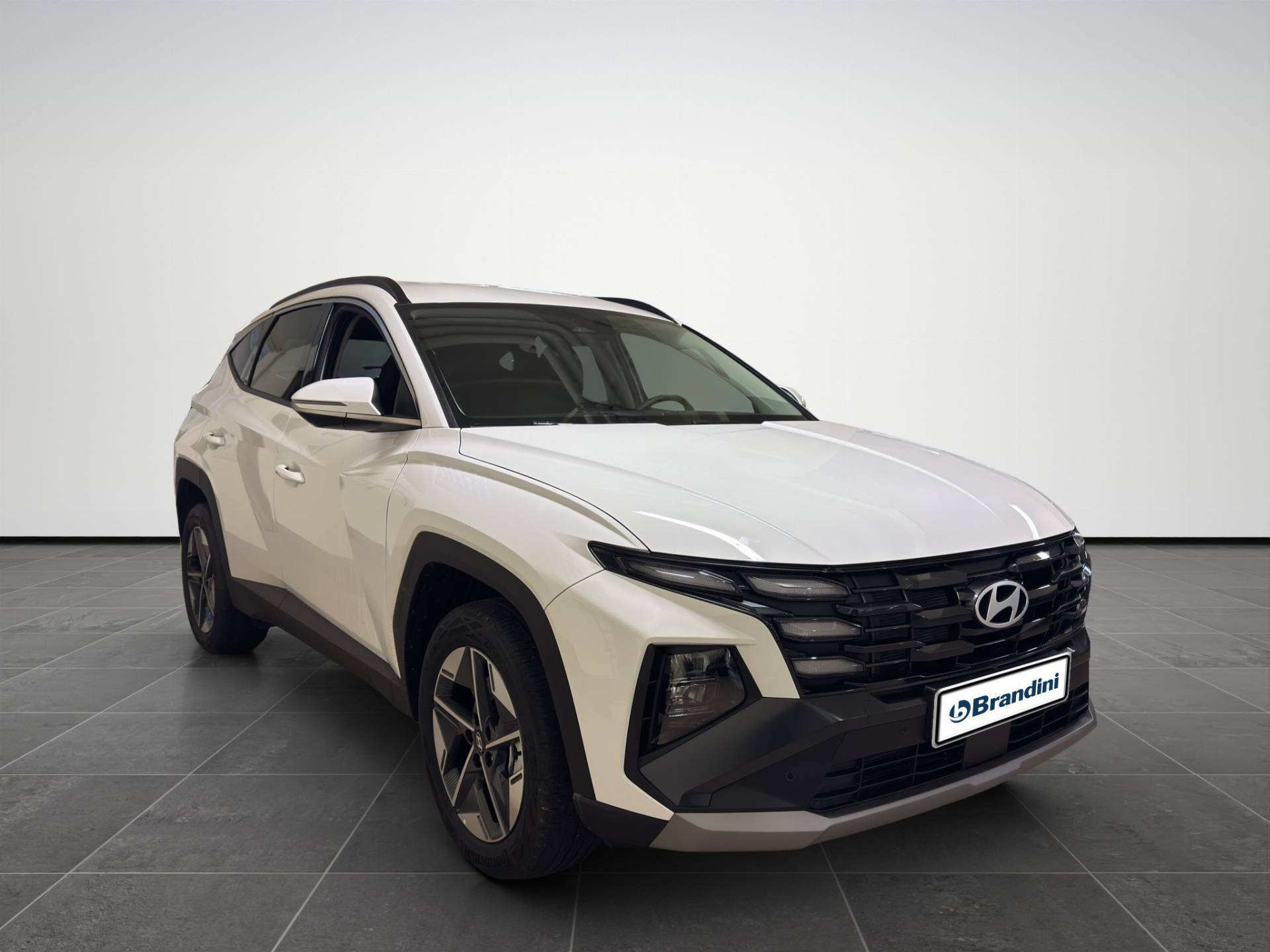 Auto Venduta - HYUNDAI Tucson Tucson 1.6 hev Business 2wd 239cv auto usata in pronta consegna - Brandini