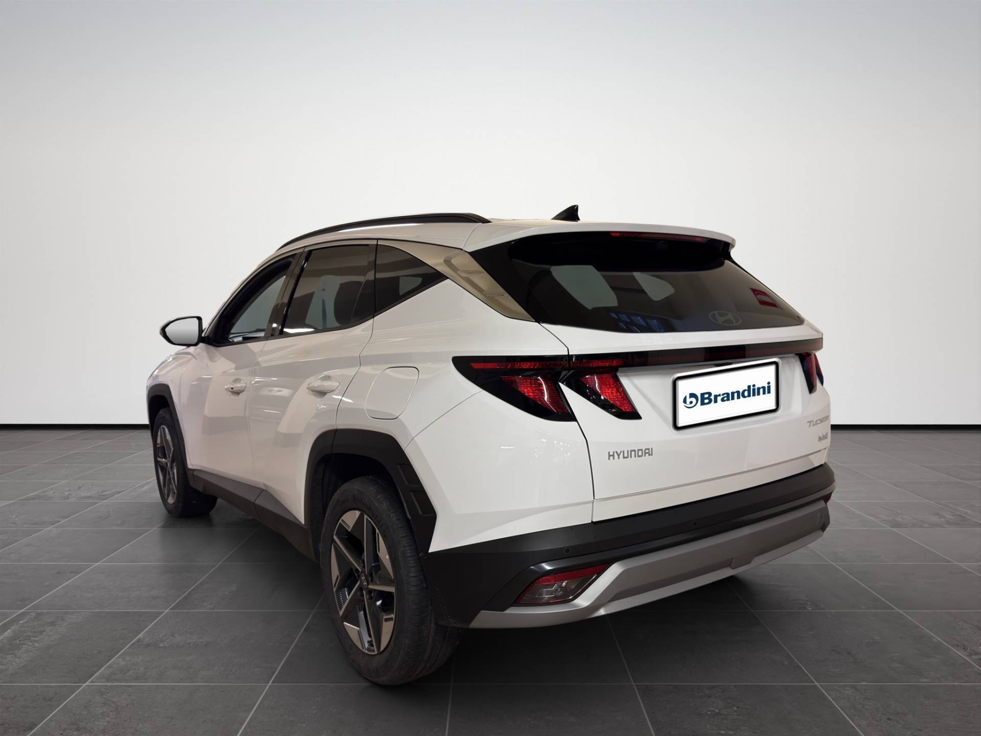 Auto Venduta - HYUNDAI Tucson Tucson 1.6 hev Business 2wd 239cv auto usata in pronta consegna - Brandini