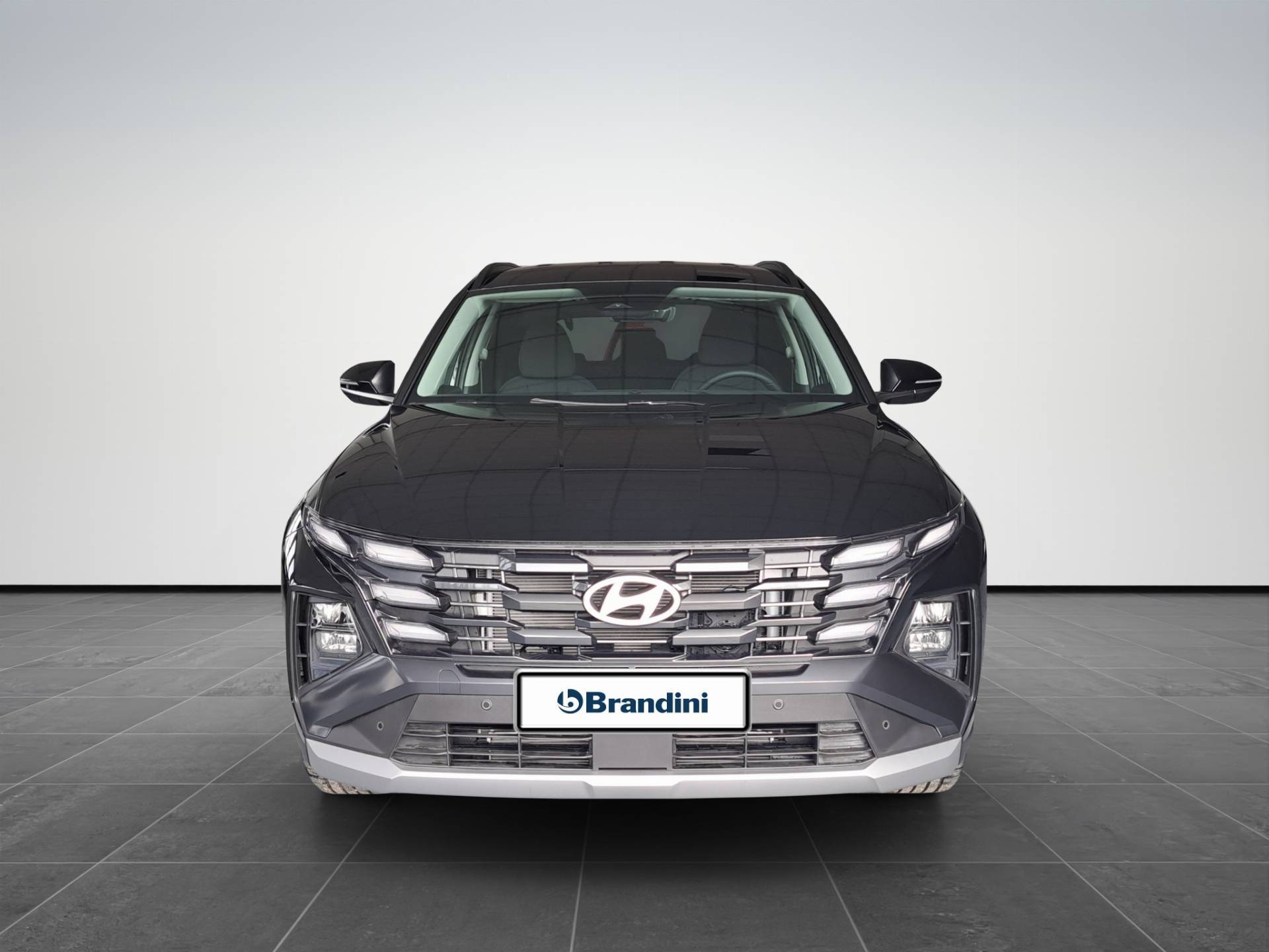 HYUNDAI Tucson Tucson 1.6 hev Business 2wd 239cv auto usata in pronta consegna - Brandini