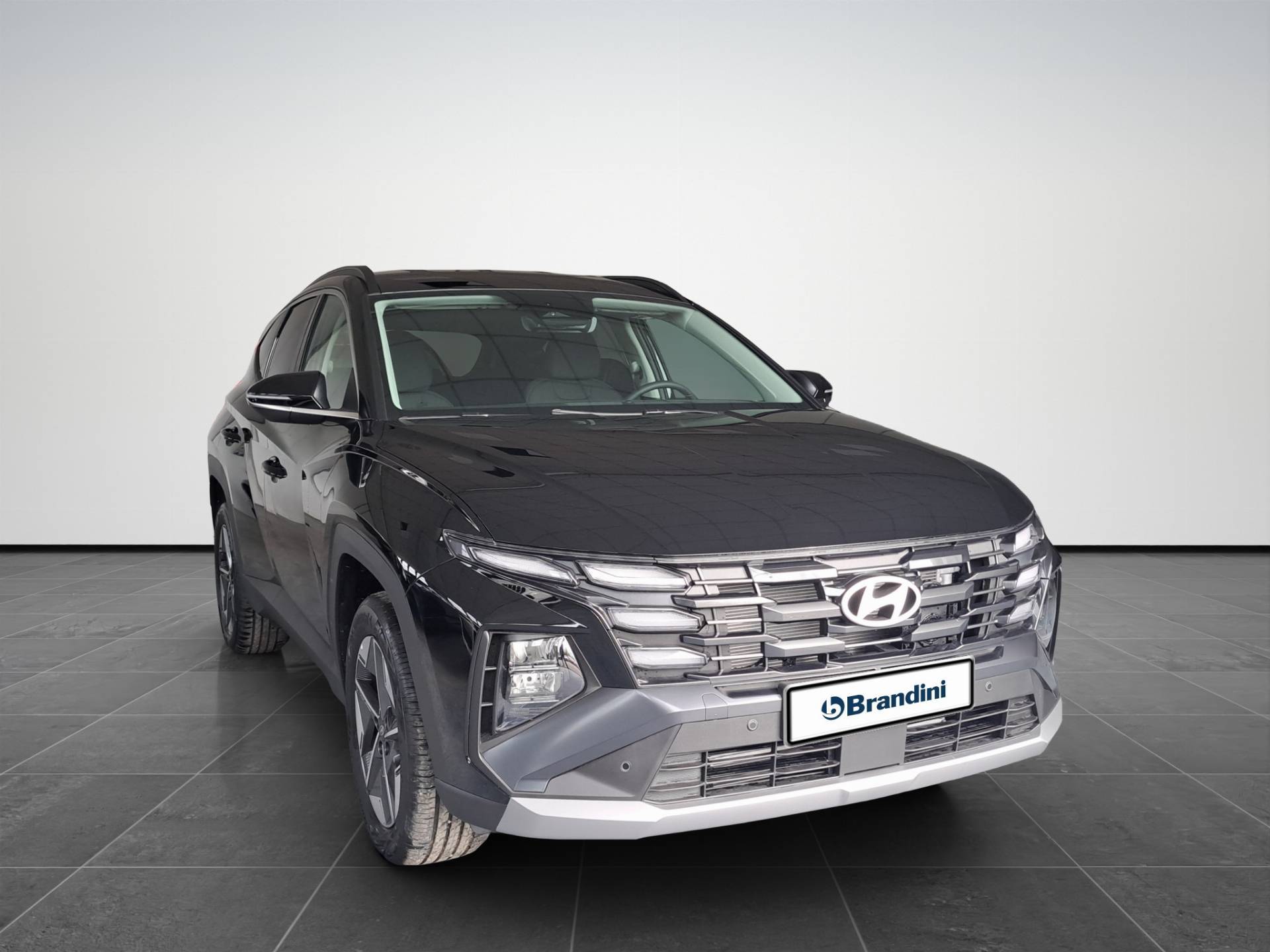 HYUNDAI Tucson Tucson 1.6 hev Business 2wd 239cv auto usata in pronta consegna - Brandini