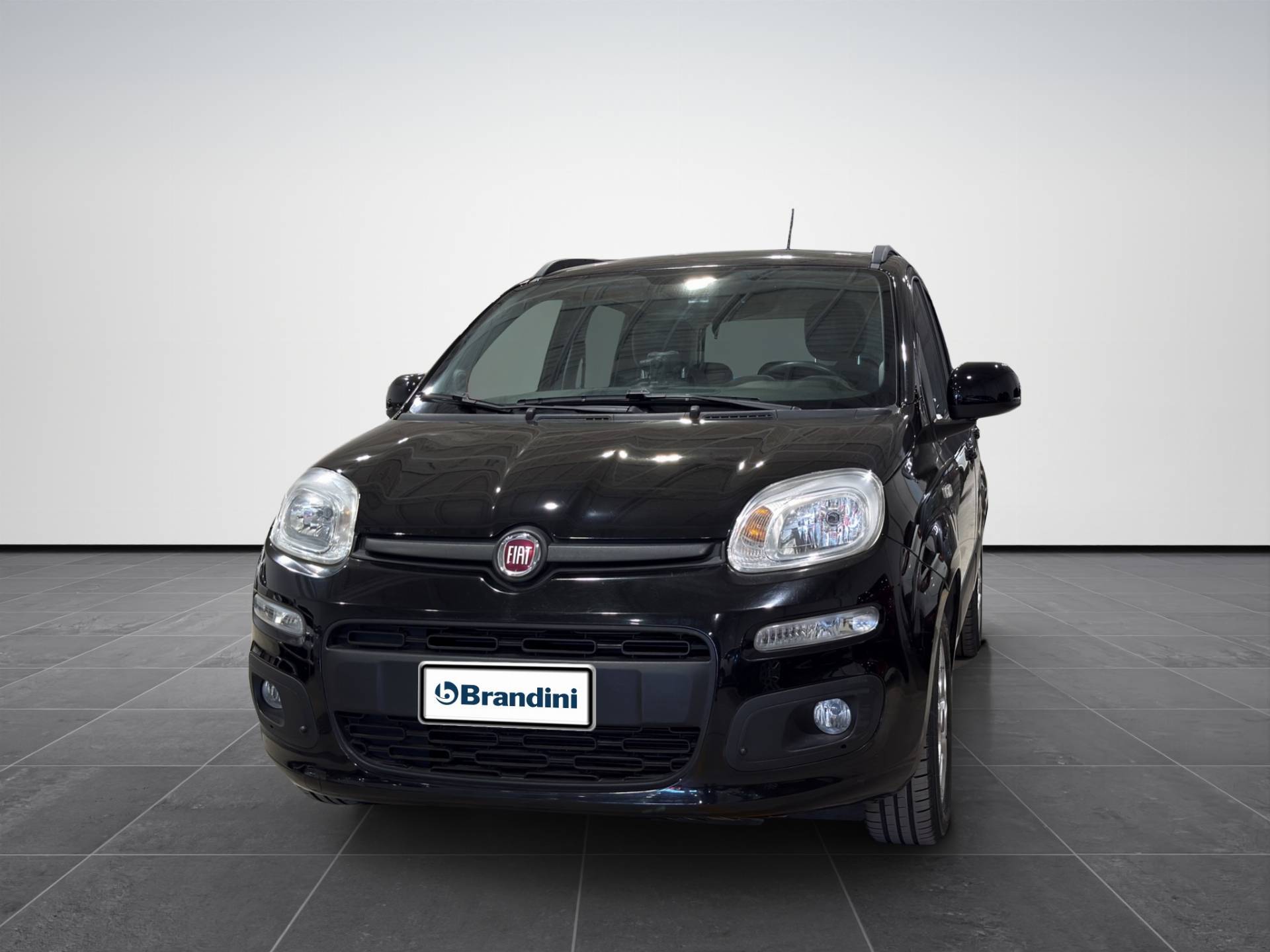 Auto Venduta - FIAT Panda Panda 1.2 Lounge 69cv usata in pronta consegna - Brandini