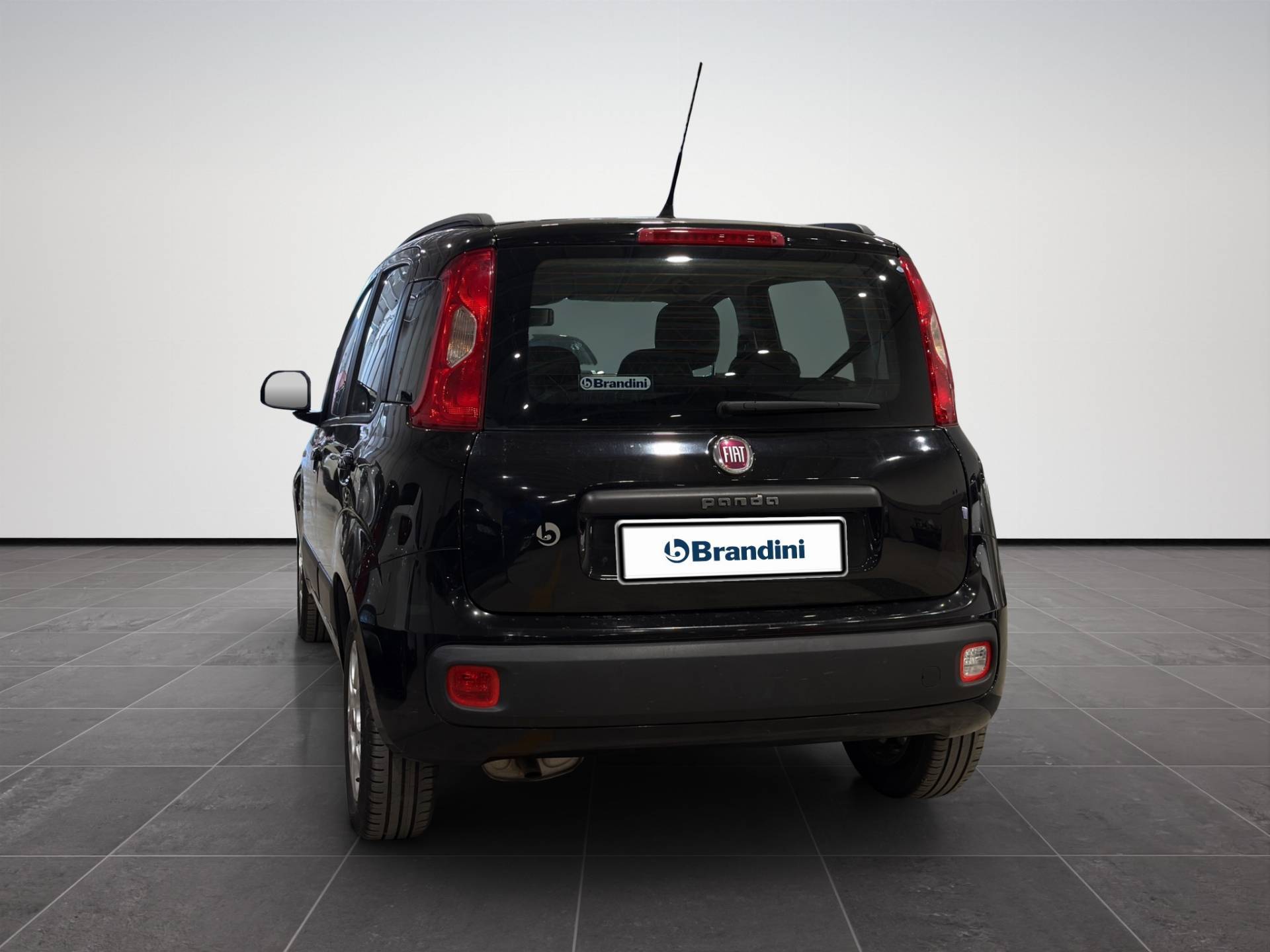 Auto Venduta - FIAT Panda Panda 1.2 Lounge 69cv usata in pronta consegna - Brandini