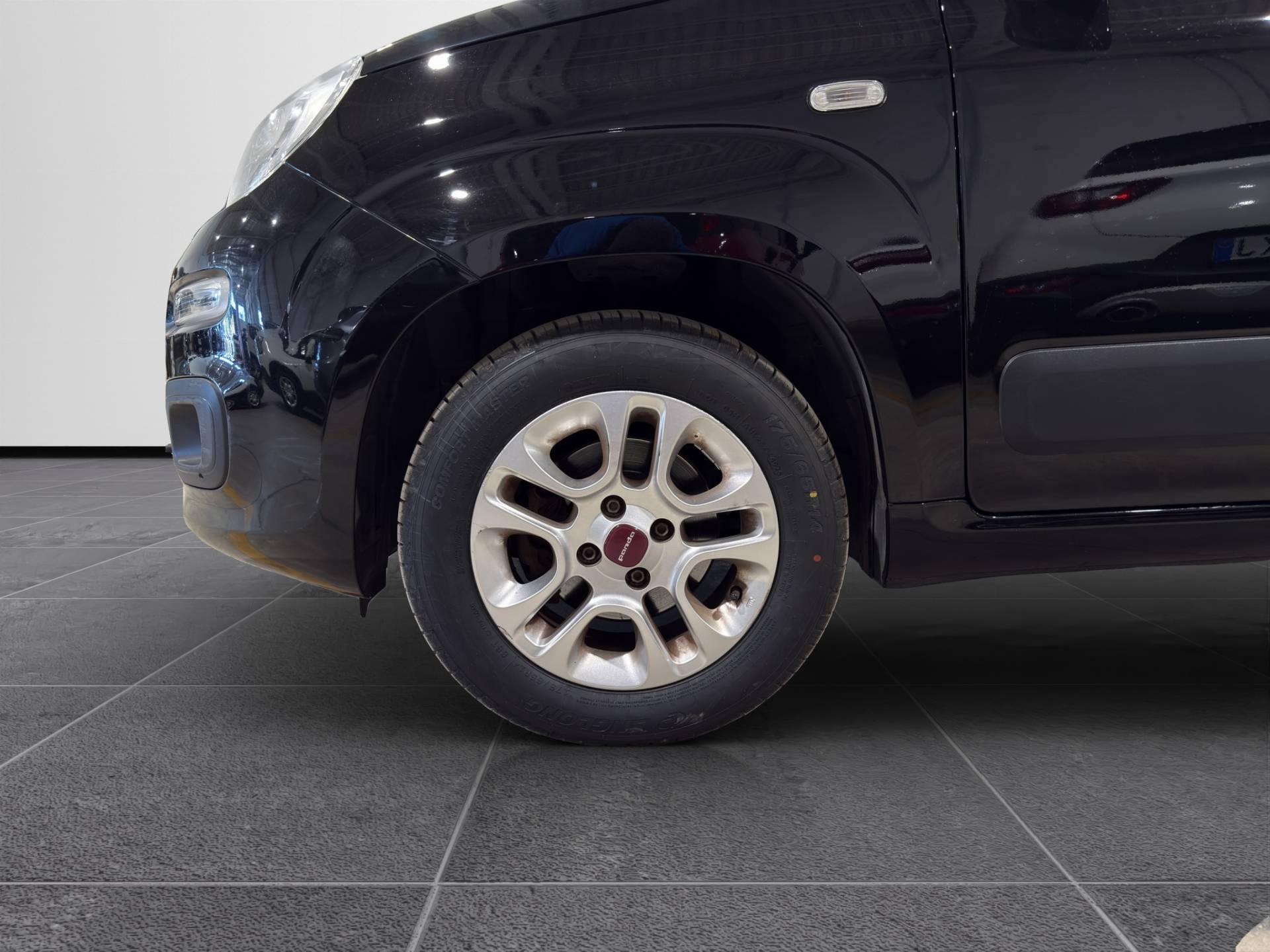 Auto Venduta - FIAT Panda Panda 1.2 Lounge 69cv usata in pronta consegna - Brandini