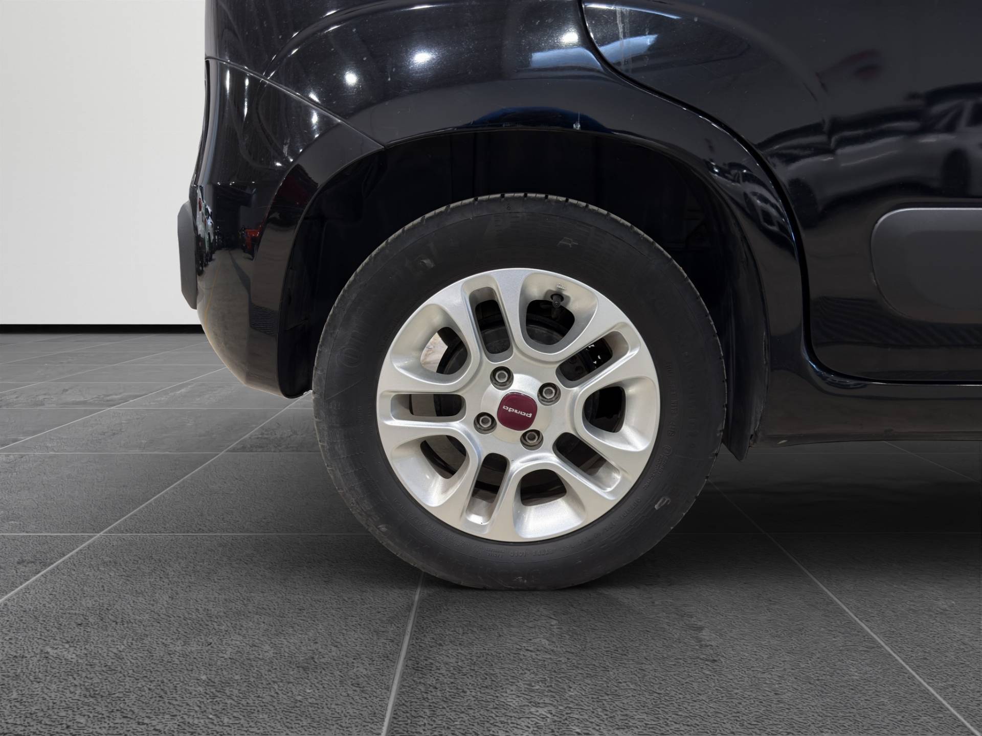 Auto Venduta - FIAT Panda Panda 1.2 Lounge 69cv usata in pronta consegna - Brandini