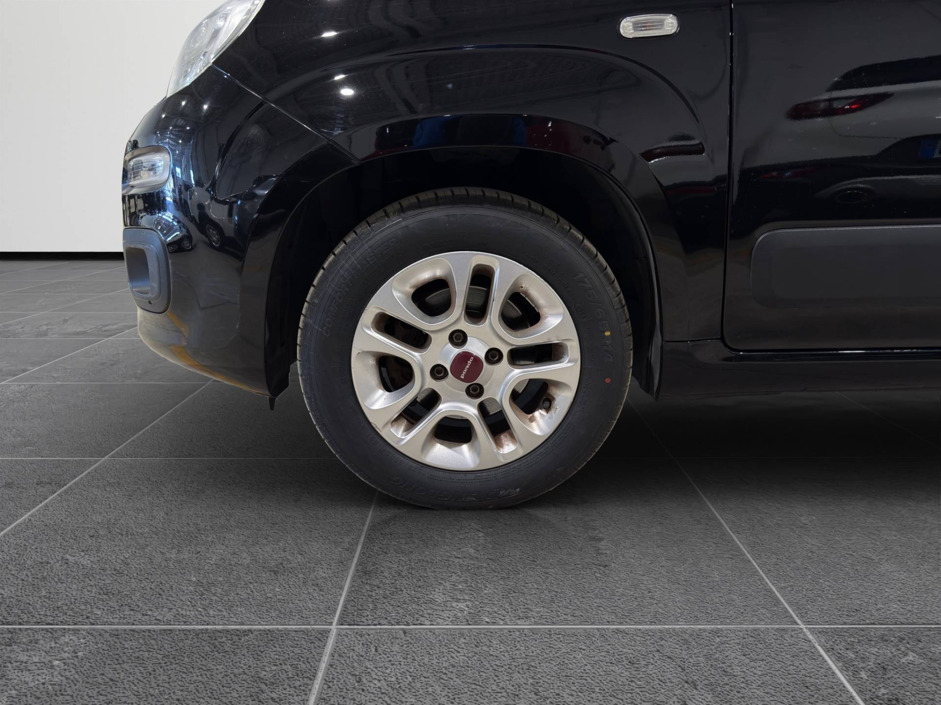 Auto Venduta - FIAT Panda Panda 1.2 Lounge 69cv usata in pronta consegna - Brandini
