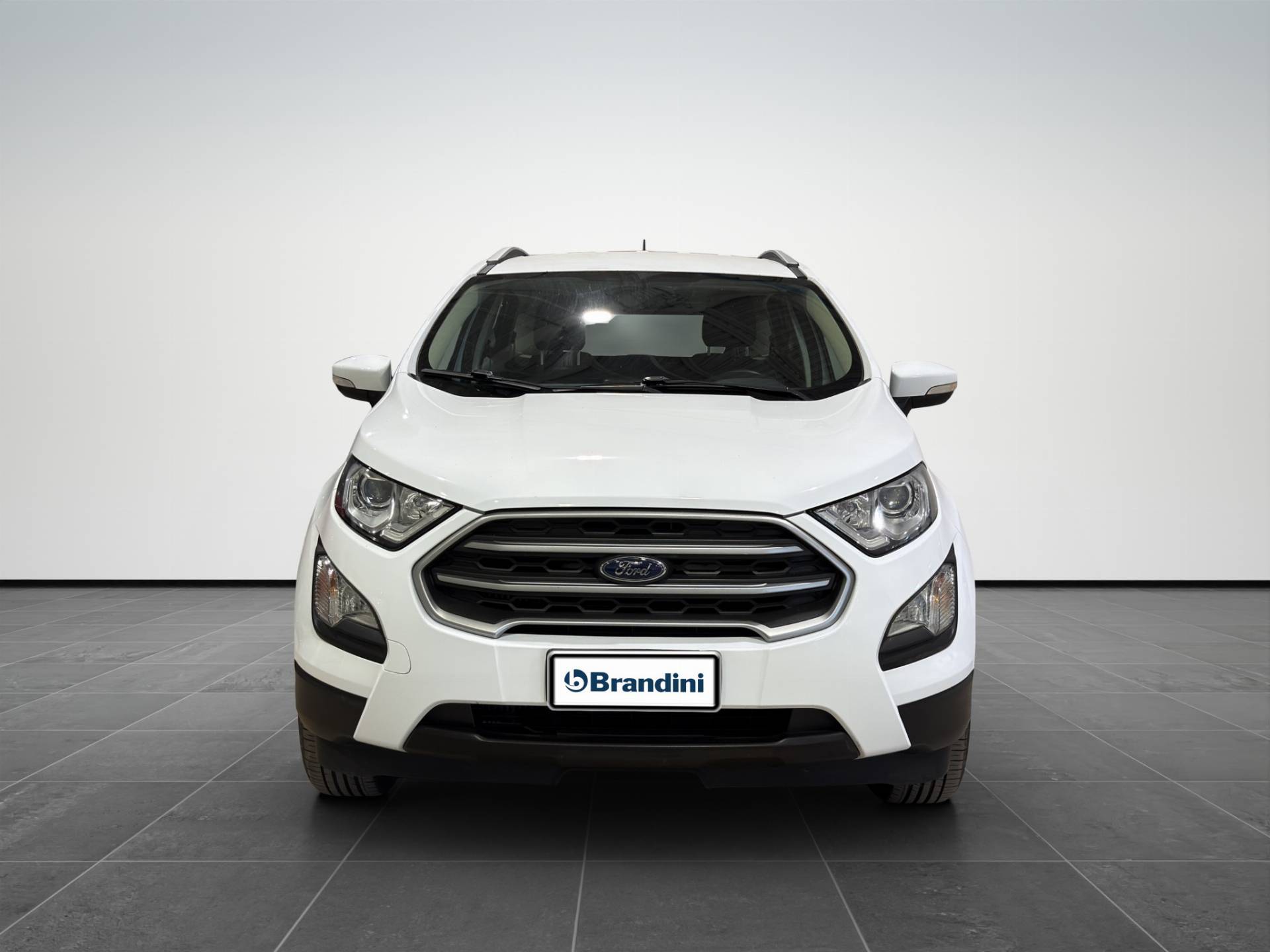 Auto Venduta - FORD EcoSport EcoSport 1.0 ecoboost Plus 100cv usata in pronta consegna - Brandini