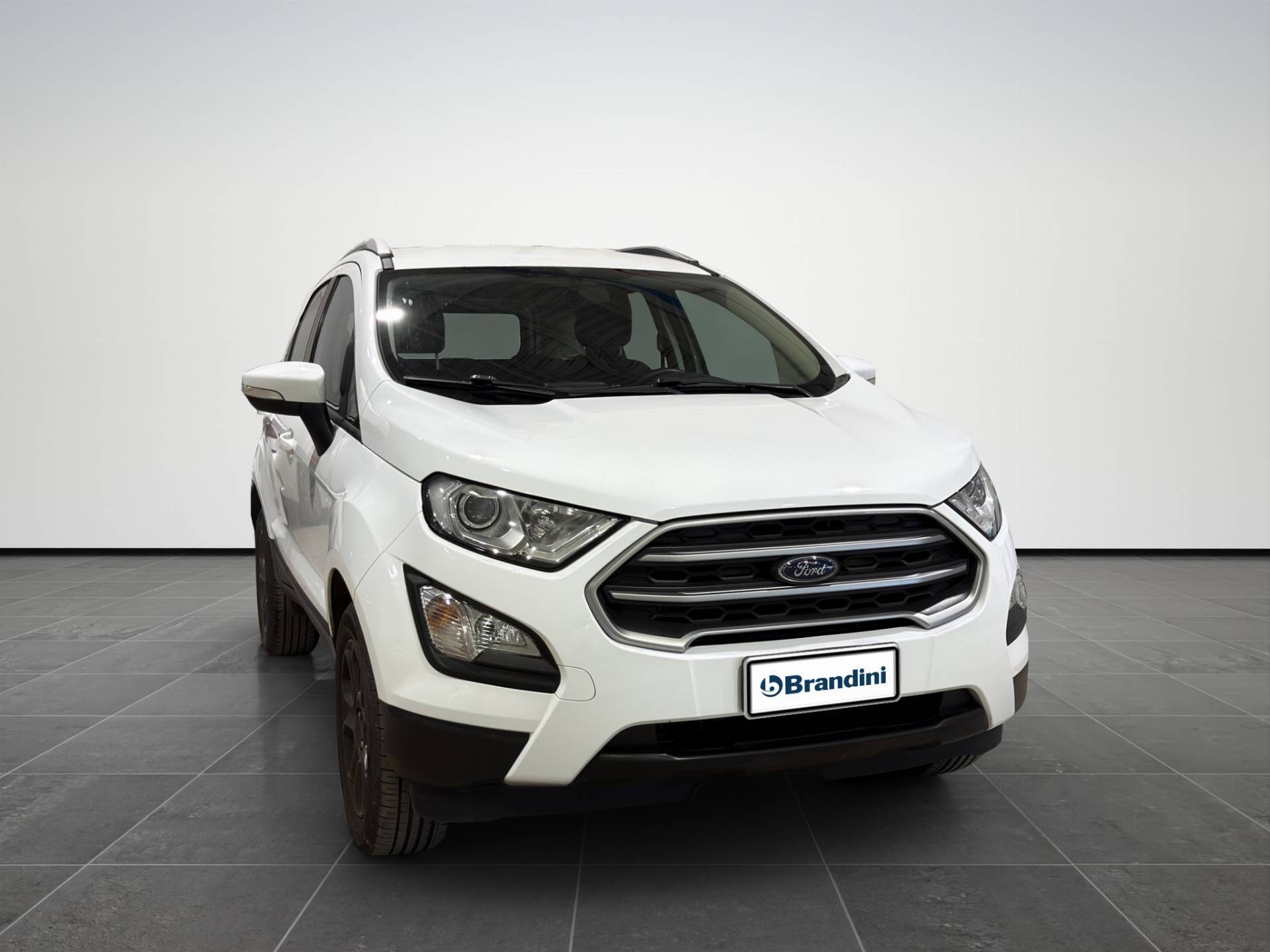 Auto Venduta - FORD EcoSport EcoSport 1.0 ecoboost Plus 100cv usata in pronta consegna - Brandini