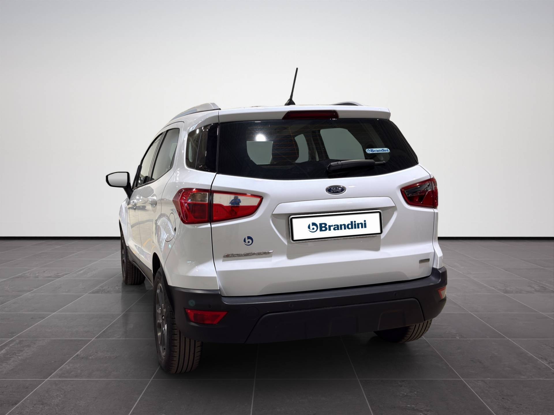 Auto Venduta - FORD EcoSport EcoSport 1.0 ecoboost Plus 100cv usata in pronta consegna - Brandini