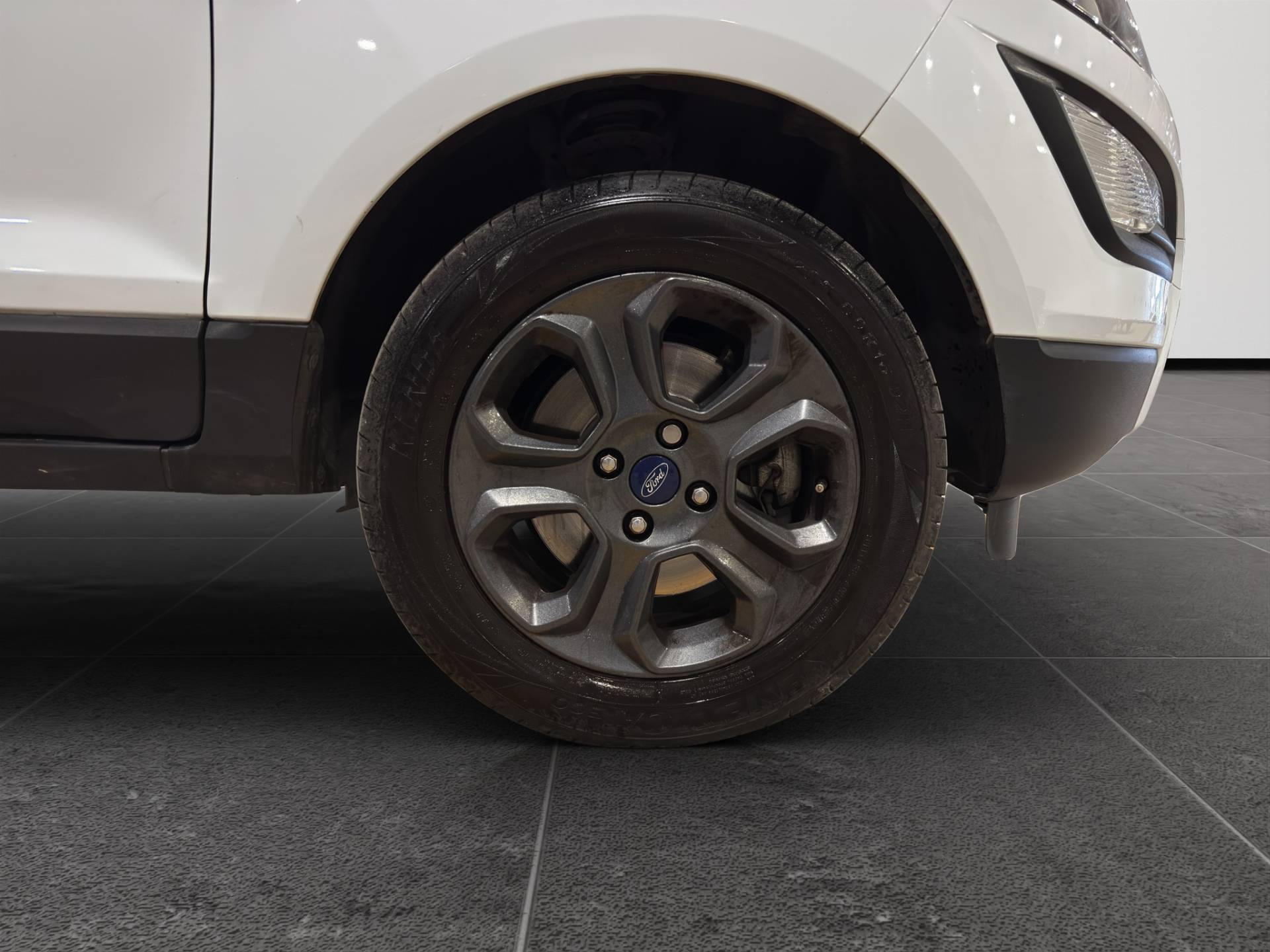 Auto Venduta - FORD EcoSport EcoSport 1.0 ecoboost Plus 100cv usata in pronta consegna - Brandini