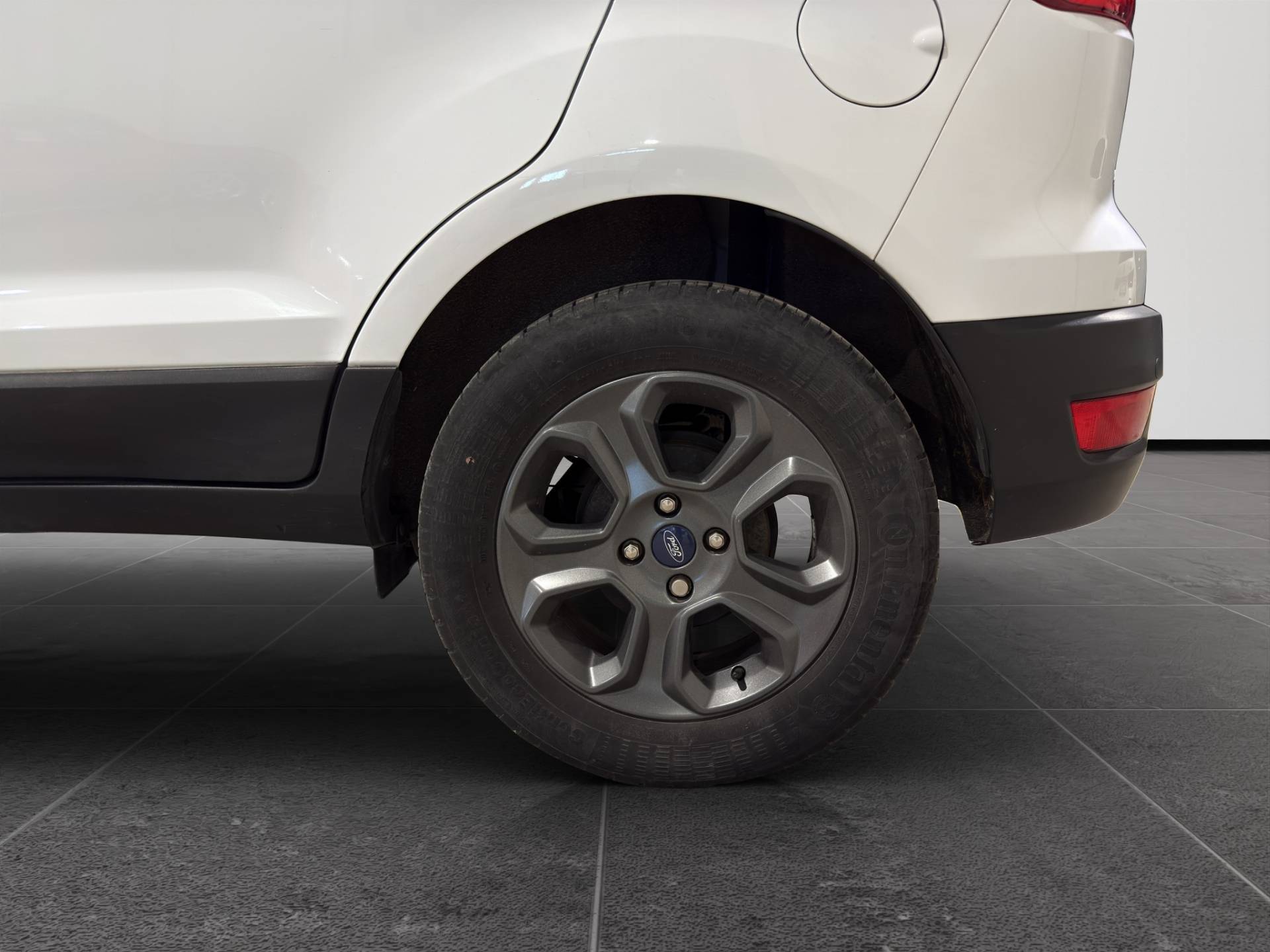 Auto Venduta - FORD EcoSport EcoSport 1.0 ecoboost Plus 100cv usata in pronta consegna - Brandini