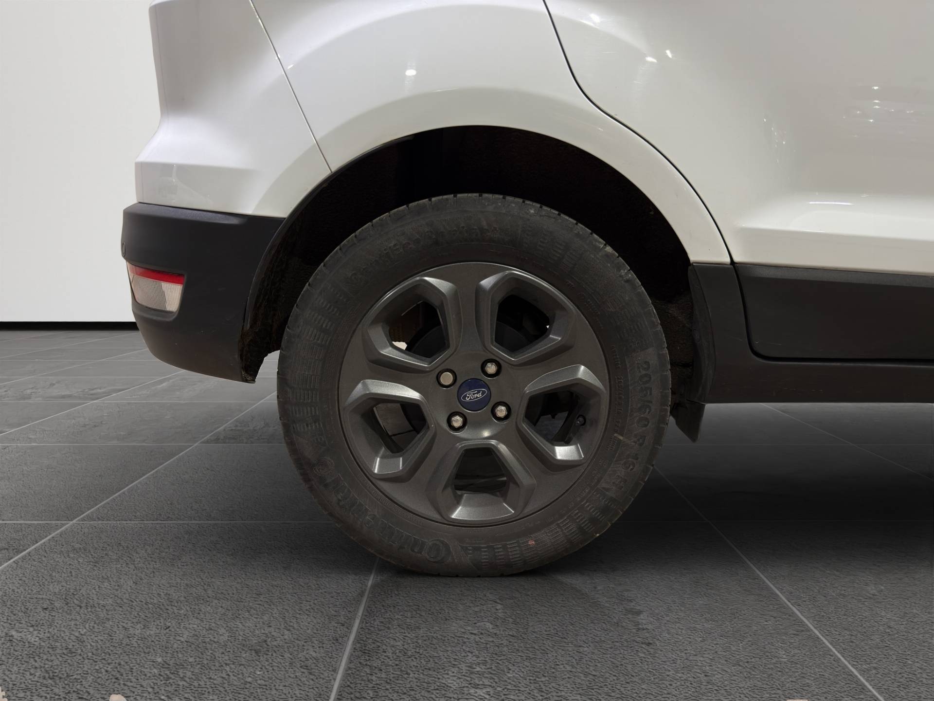 Auto Venduta - FORD EcoSport EcoSport 1.0 ecoboost Plus 100cv usata in pronta consegna - Brandini