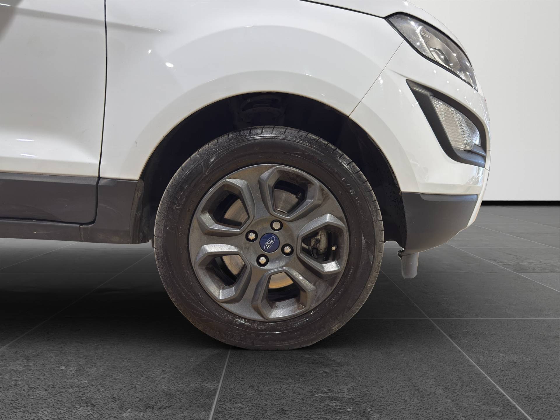 Auto Venduta - FORD EcoSport EcoSport 1.0 ecoboost Plus 100cv usata in pronta consegna - Brandini